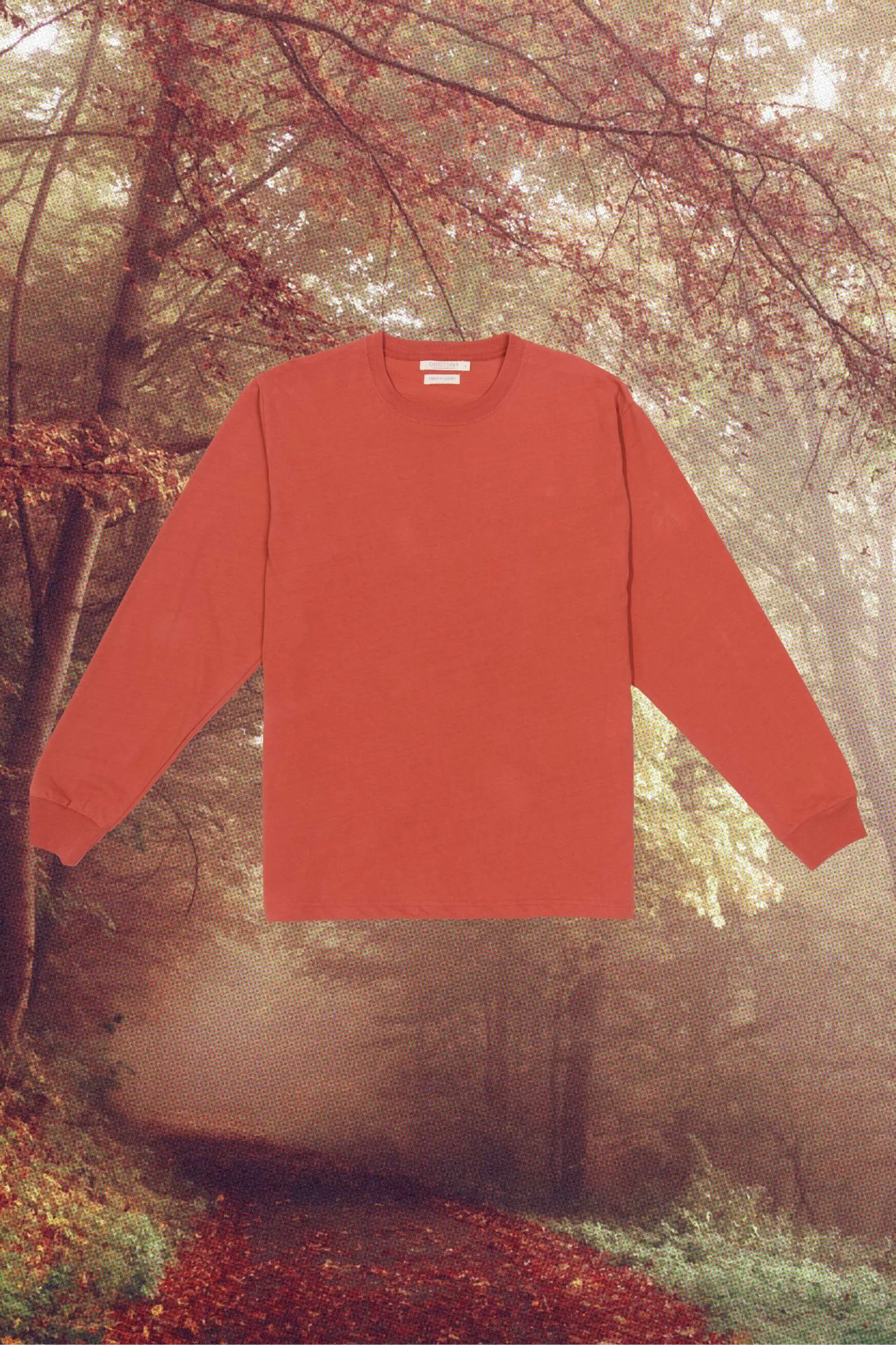 Regenerative Long Sleeve Tee | Rust sold by Christy Dawn