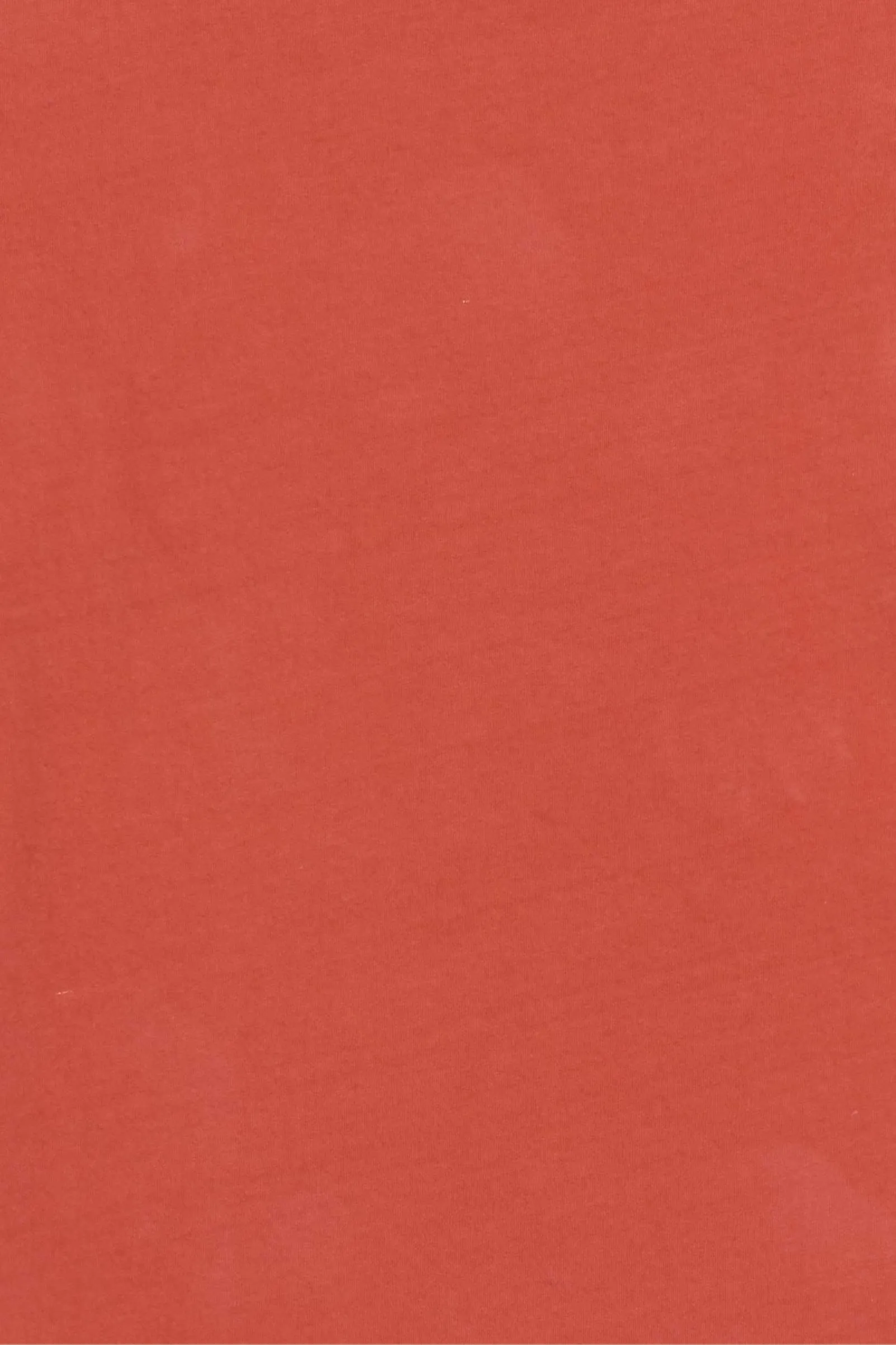 Regenerative Long Sleeve Tee | Rust sold by Christy Dawn product image thumbnail 3