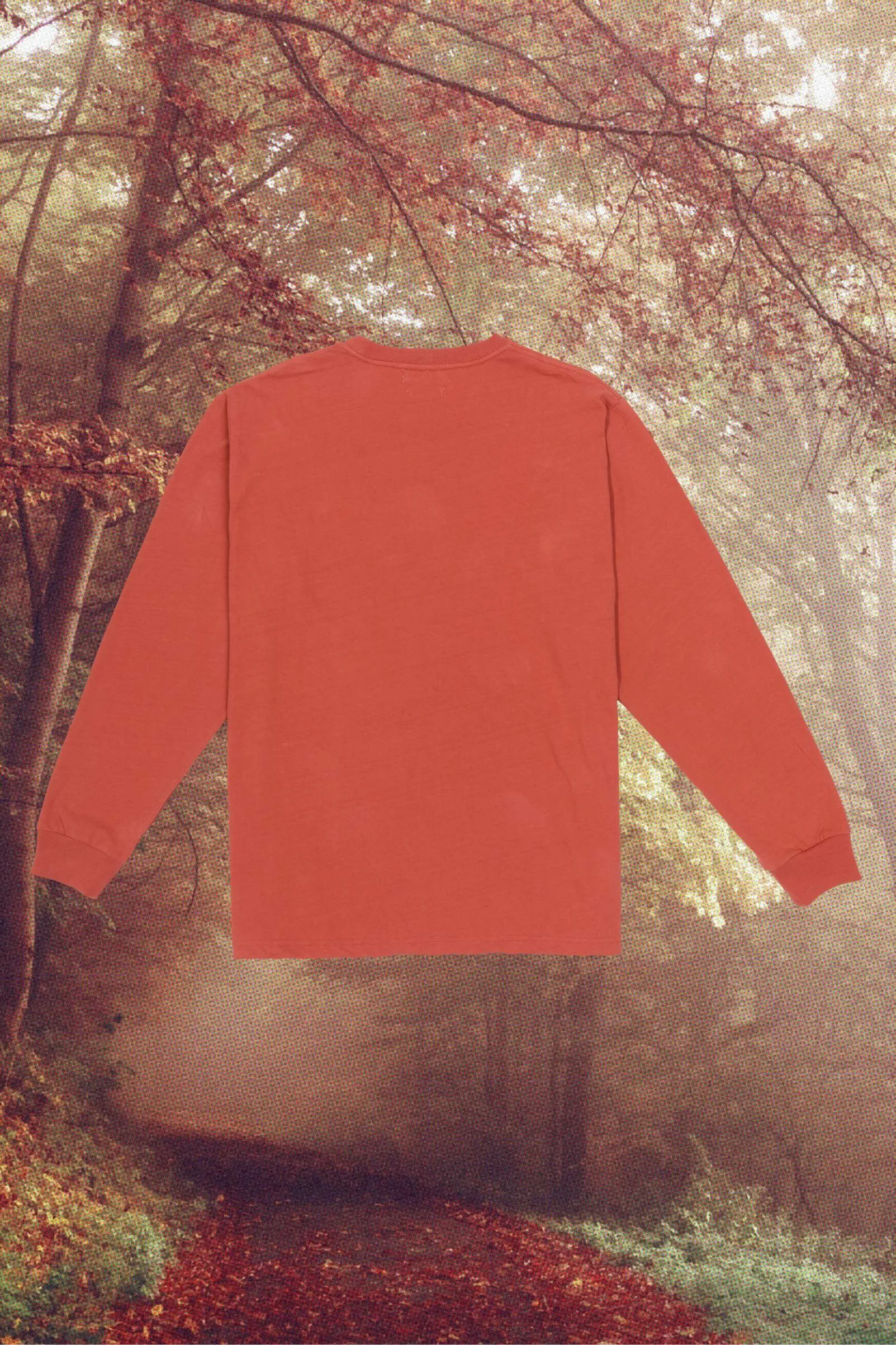 Regenerative Long Sleeve Tee | Rust sold by Christy Dawn product image thumbnail 2