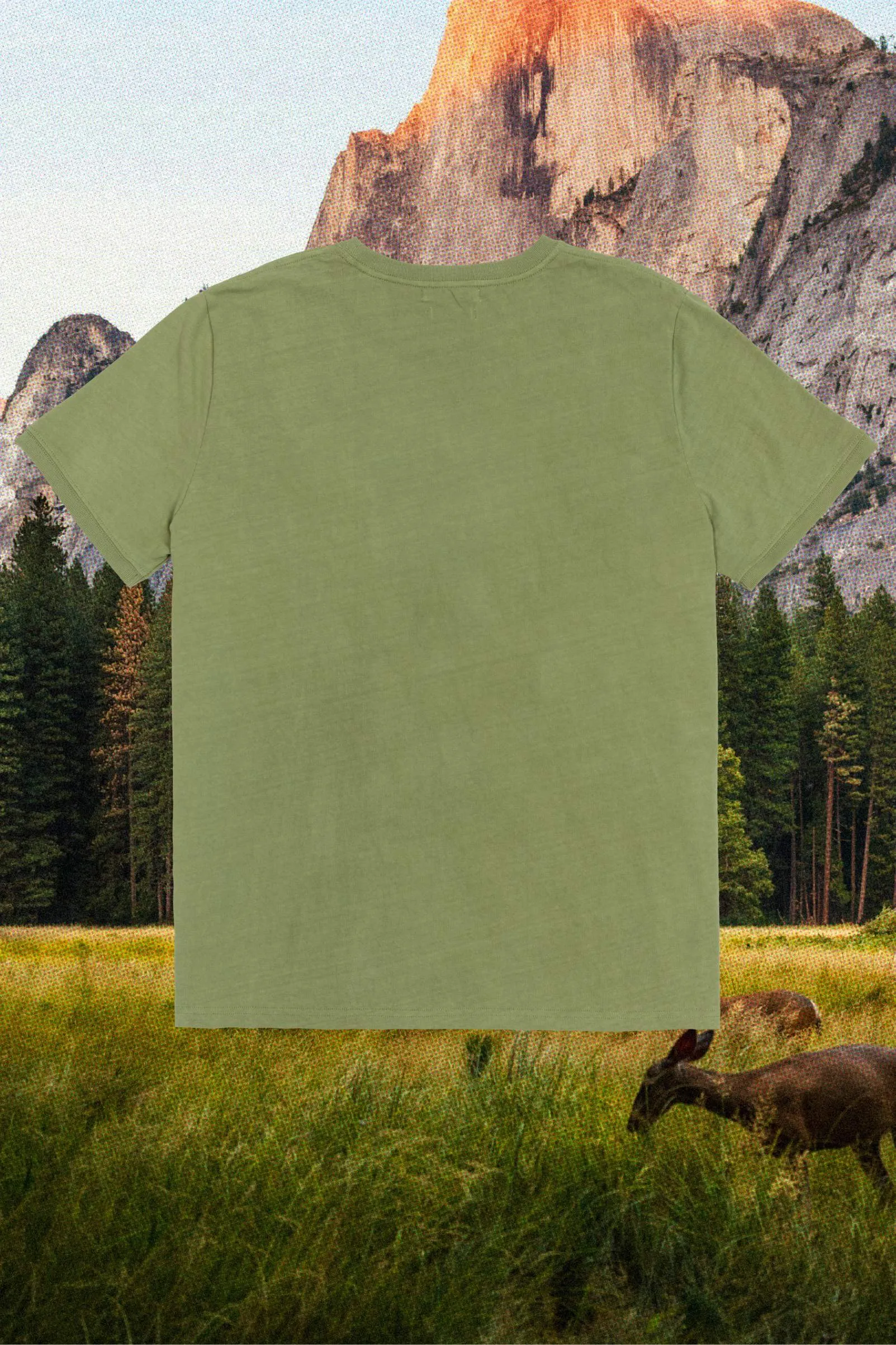 Regenerative Short Sleeve Tee | Greenstone sold by Christy Dawn product image thumbnail 2