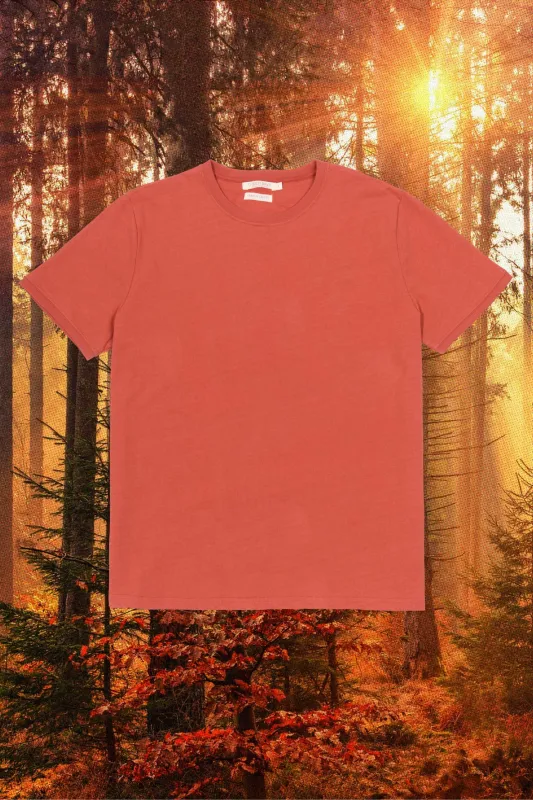 Regenerative Short Sleeve Tee | Rust sold by Christy Dawn