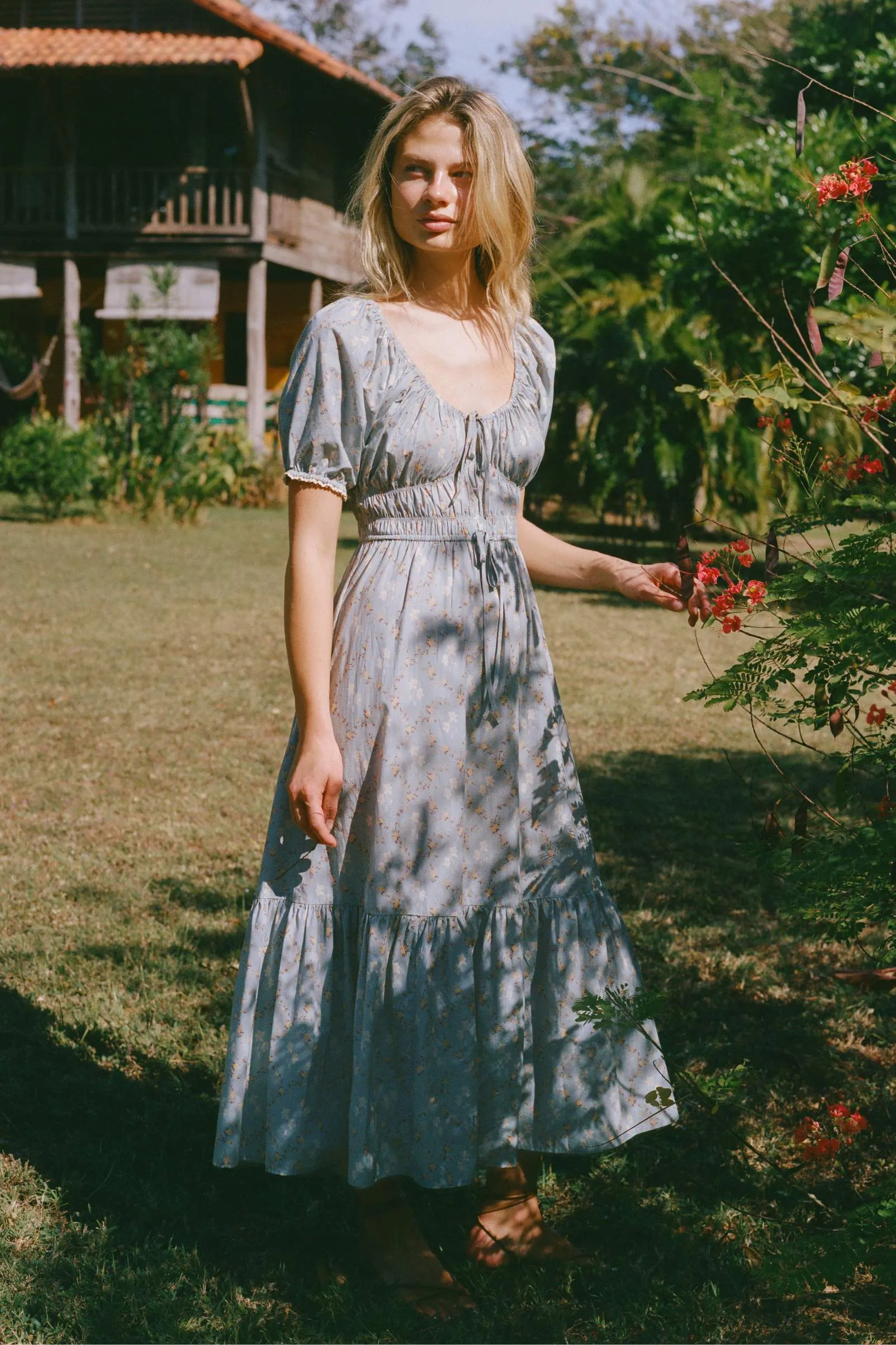 The Brynne Dress Petites | Pansy Blues sold by Christy Dawn