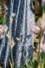 The Louise Dress | Aster Fields Lapis sold by Christy Dawn
