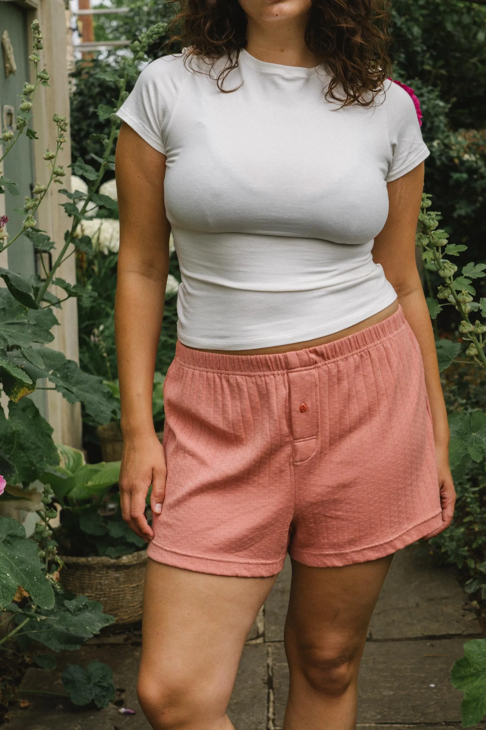 The Cristobal Boxers | Rose sold by Christy Dawn