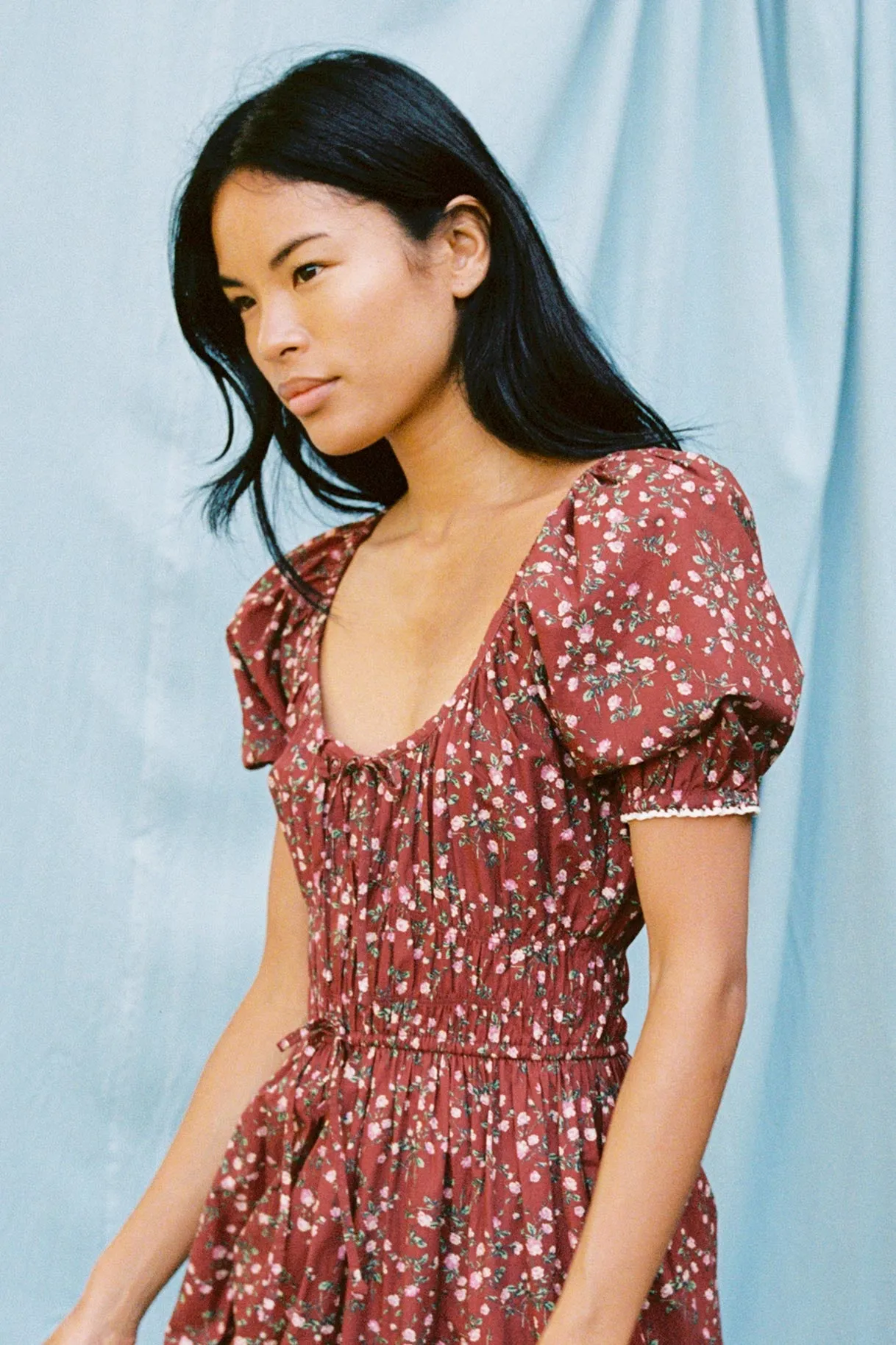 The Brynne Dress Petites | Rouge Rosette sold by Christy Dawn product image thumbnail 2