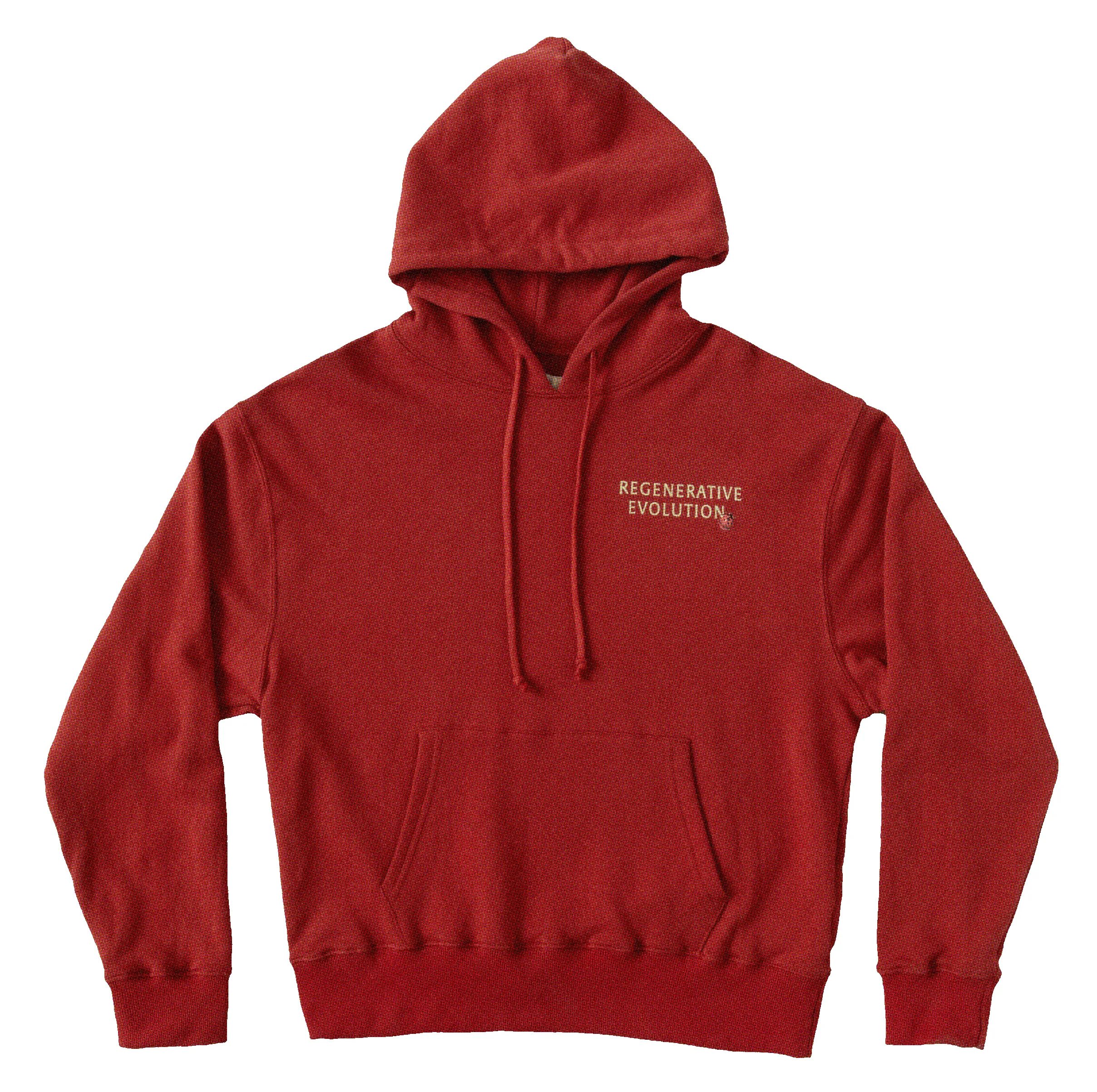 Regeneration Hoodie | Red sold by Christy Dawn product image thumbnail 3