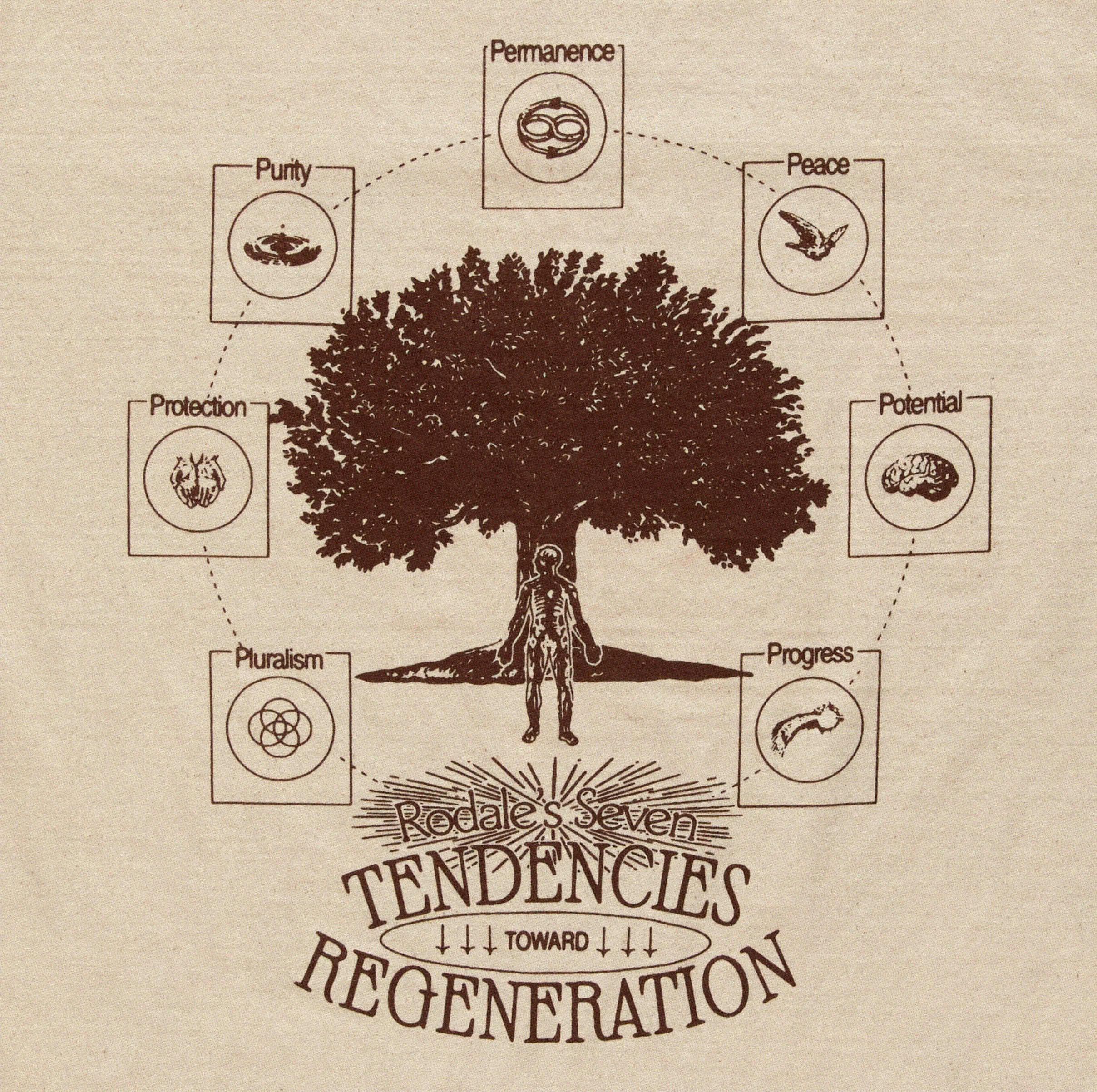 Rodale Short Sleeve Tee | Brown sold by Christy Dawn product image thumbnail 4