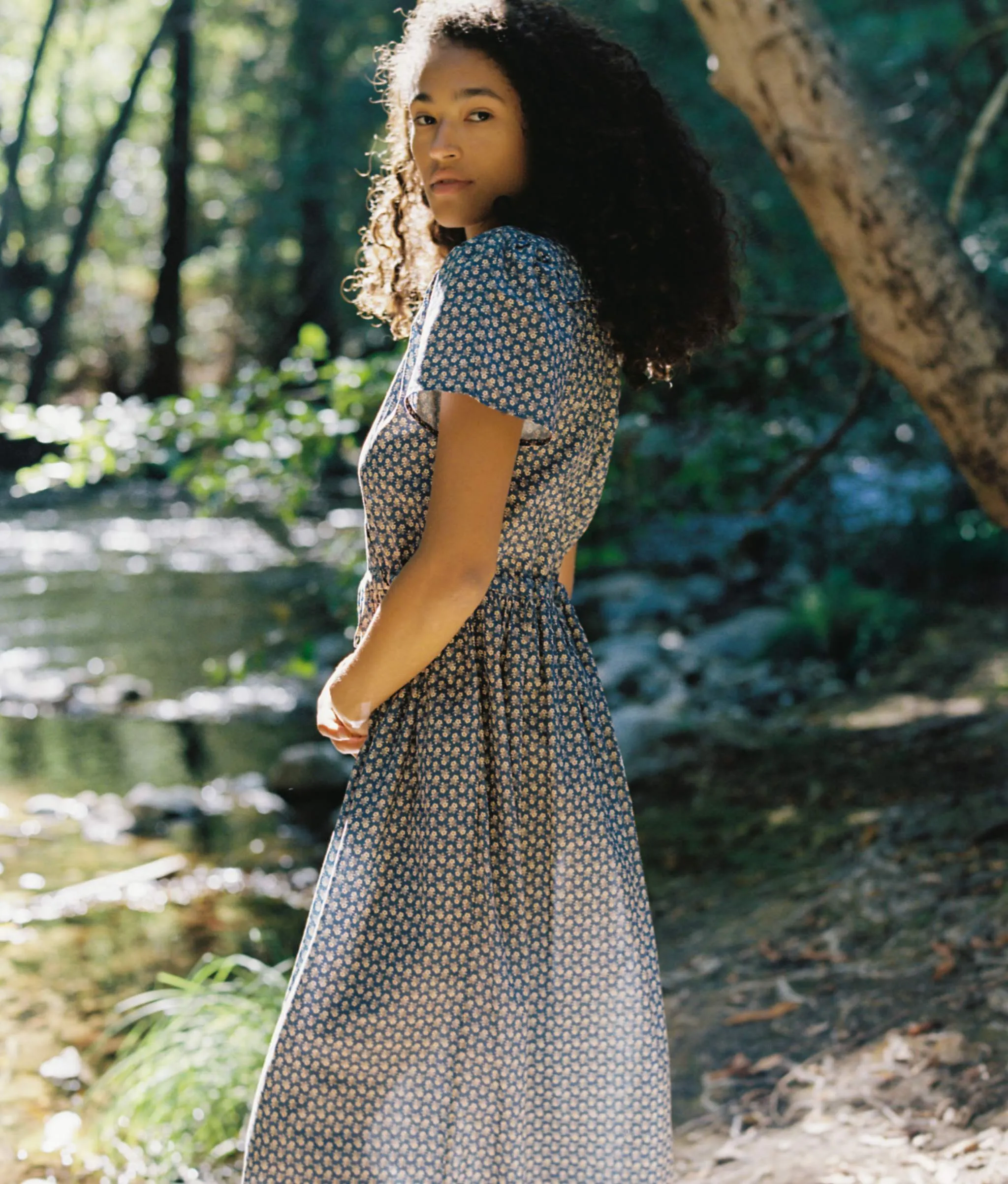 The Dawn Dress Petites | Aster Indigo sold by Christy Dawn product image thumbnail 5