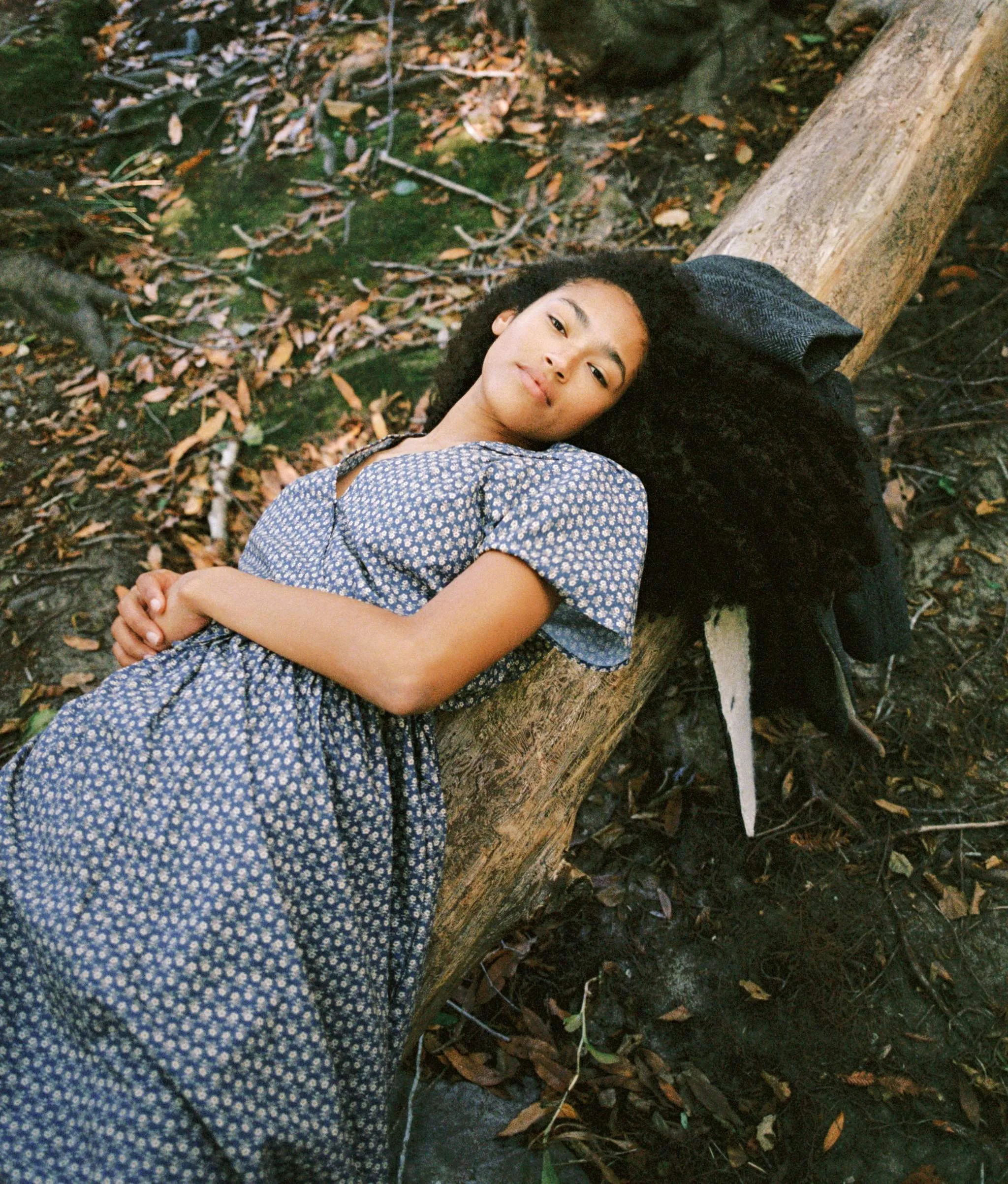 The Dawn Dress Petites | Aster Indigo sold by Christy Dawn product image thumbnail 4