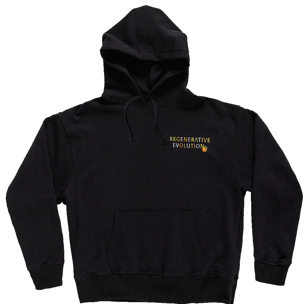 Regeneration Hoodie | Black Rainbow sold by Christy Dawn product image thumbnail 3