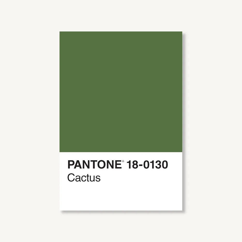 Pantone 50 Postcards sold by Chronicle Books product image thumbnail 3