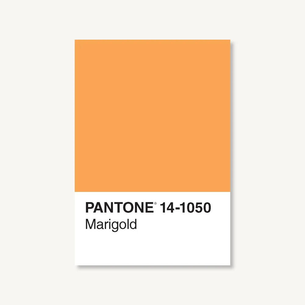 Pantone 50 Postcards sold by Chronicle Books product image thumbnail 2