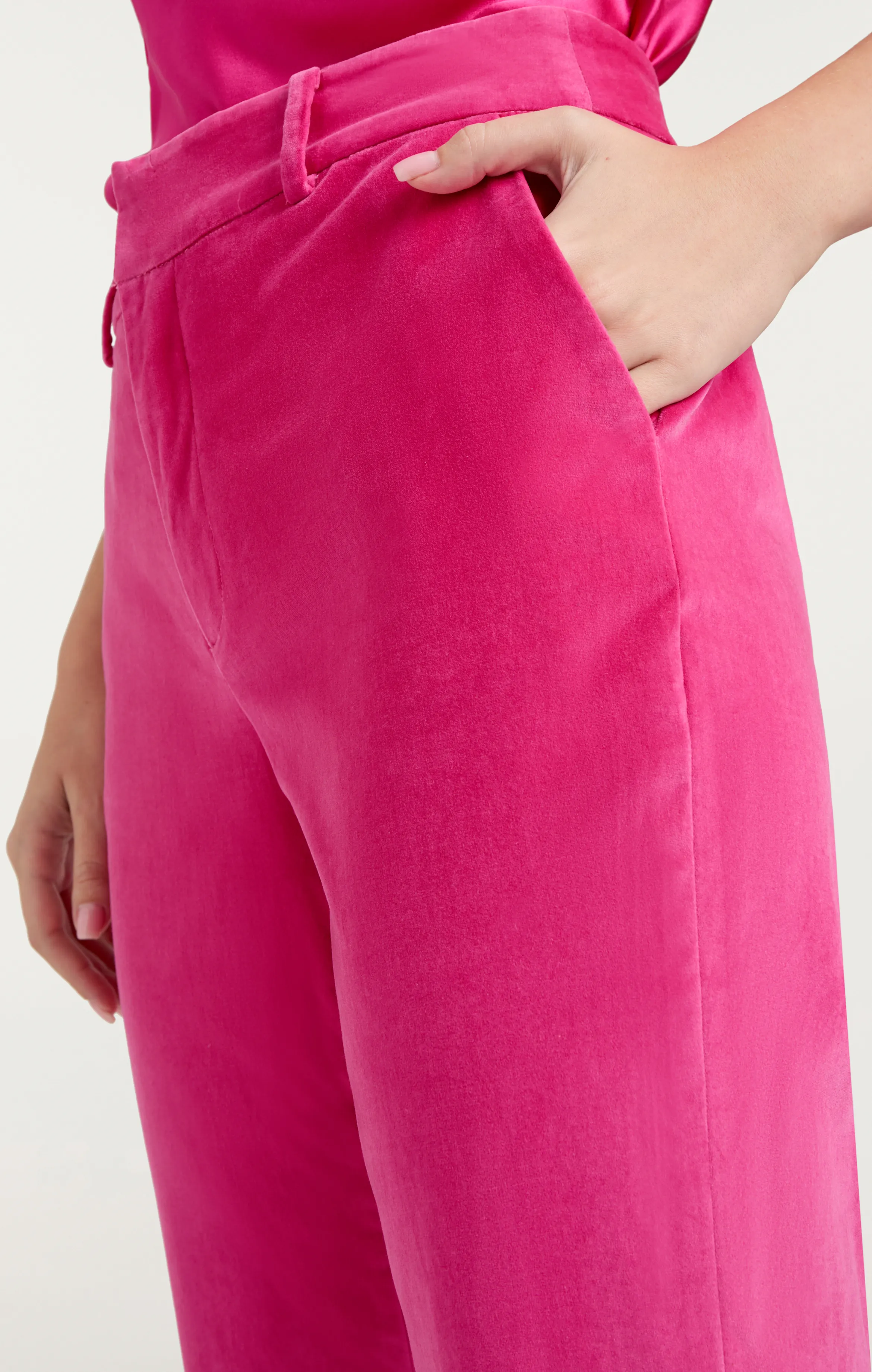 Chenille Velvet Kerry Pant sold by cinq a sept product image thumbnail 5