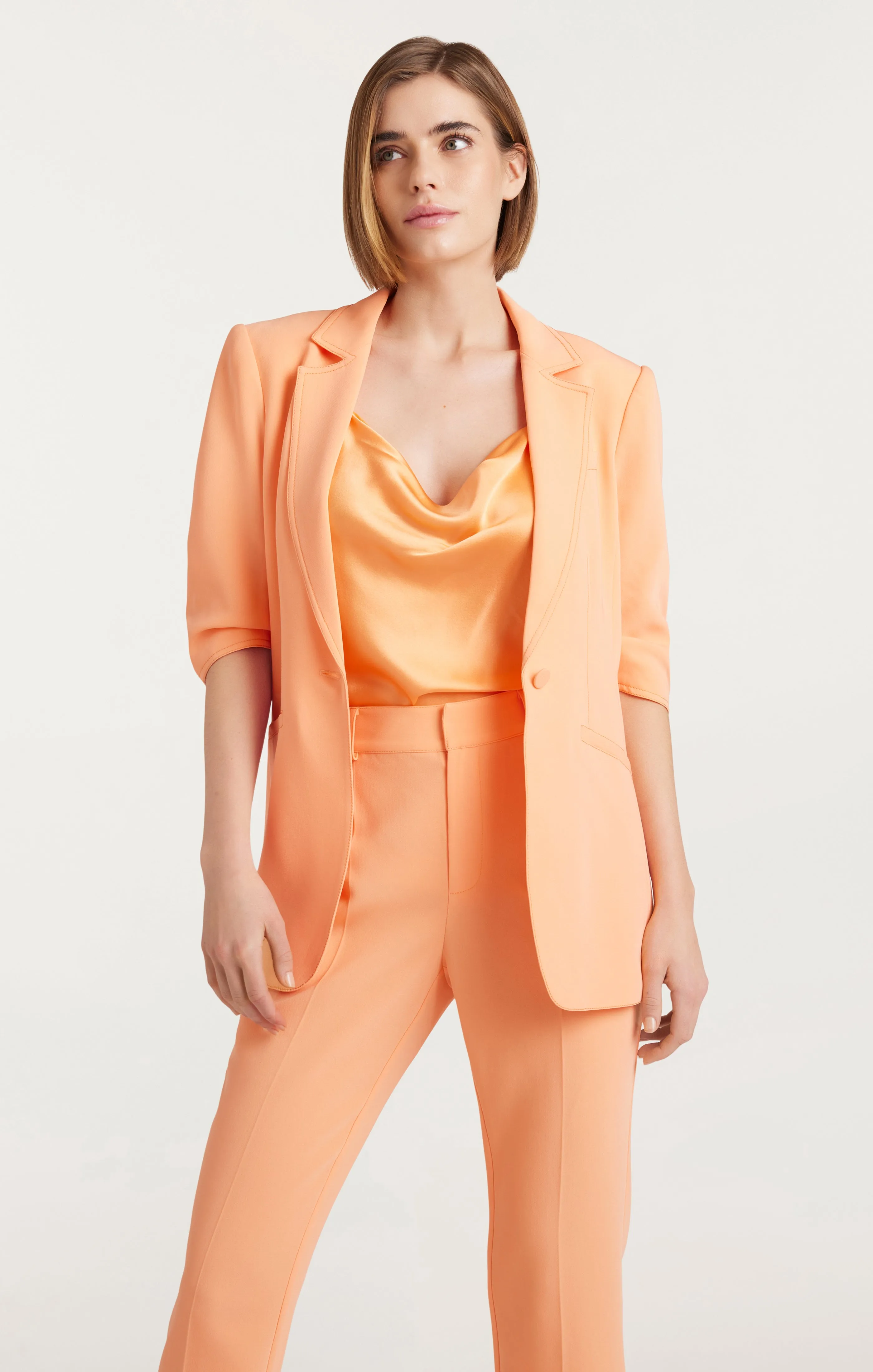 Crepe Khloe Blazer sold by cinq a sept product image thumbnail 5