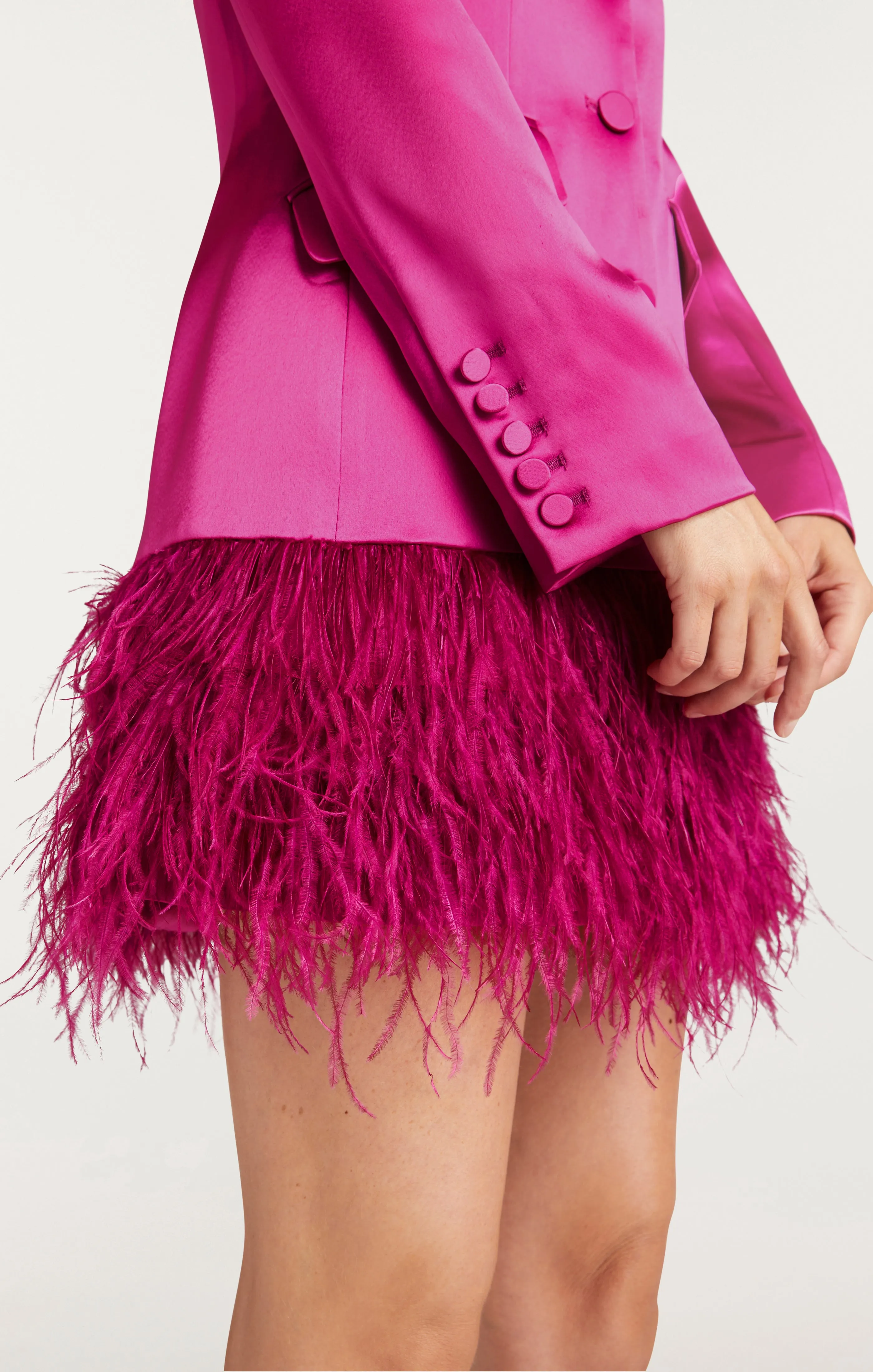 Long Sleeve Feather Joel Dress sold by cinq a sept product image thumbnail 5