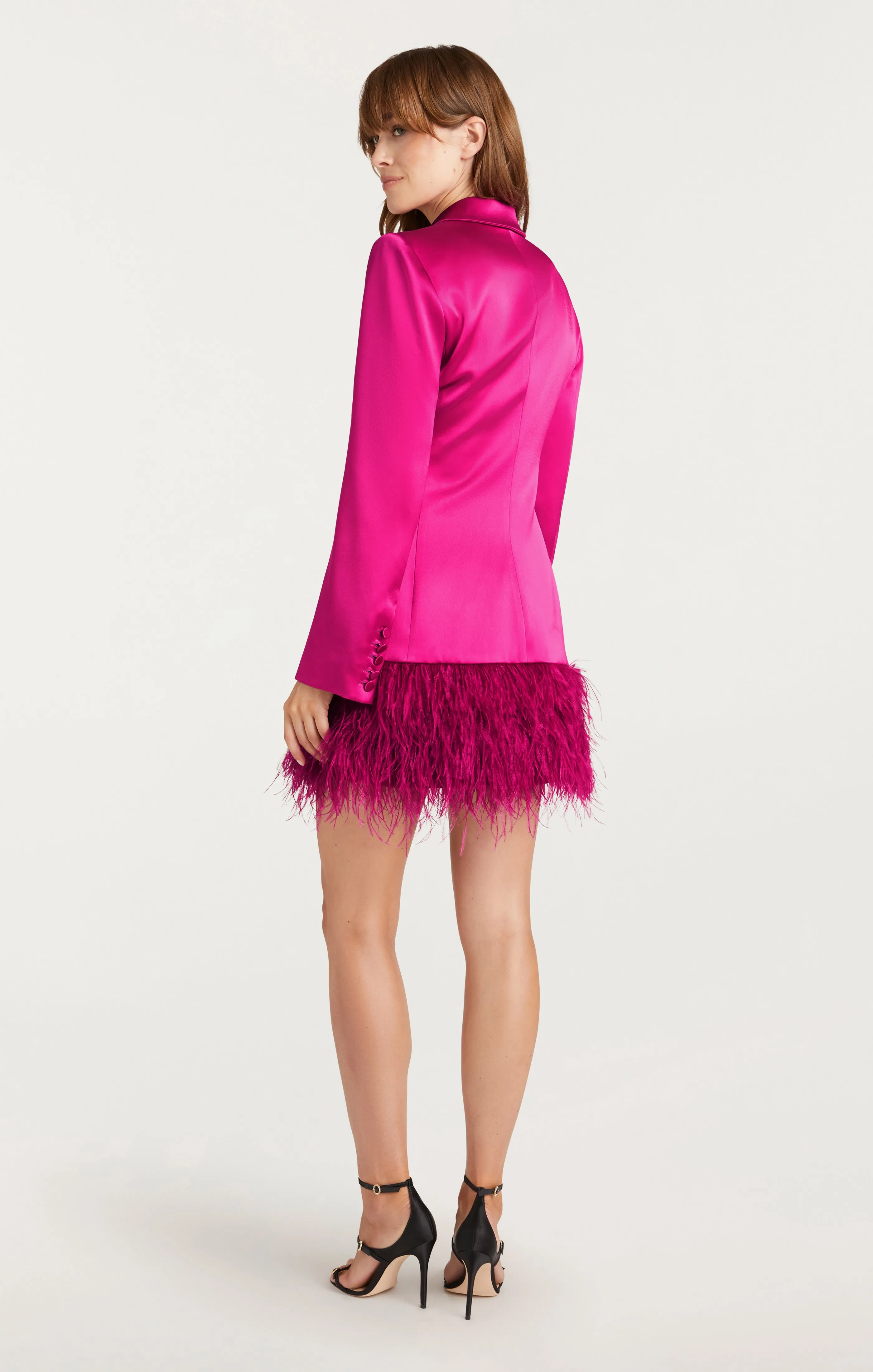 Long Sleeve Feather Joel Dress sold by cinq a sept product image thumbnail 3