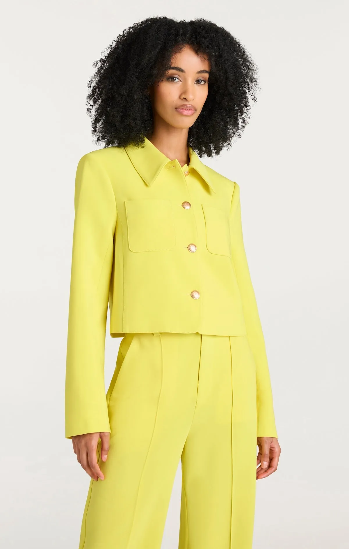 Amanda Jacket sold by cinq a sept product image thumbnail 3