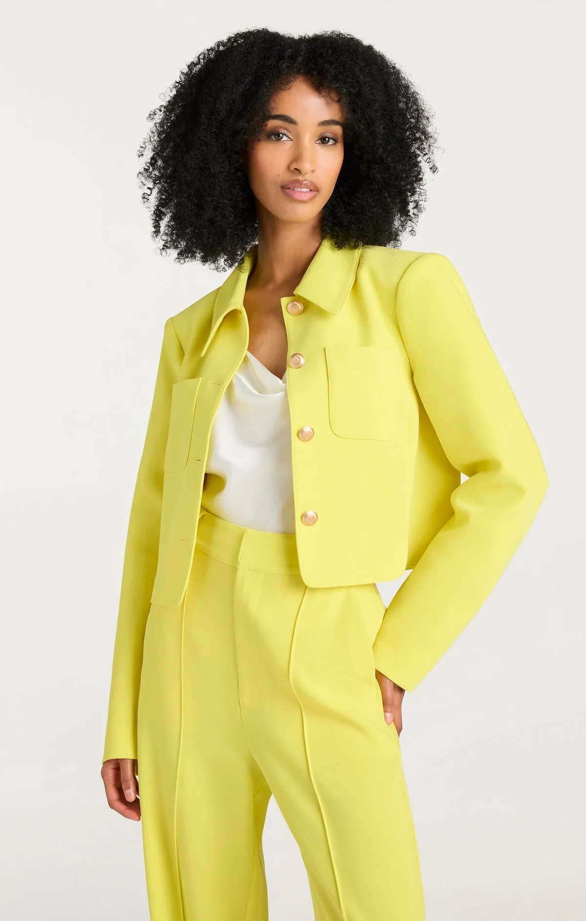 Amanda Jacket sold by cinq a sept product image thumbnail 2