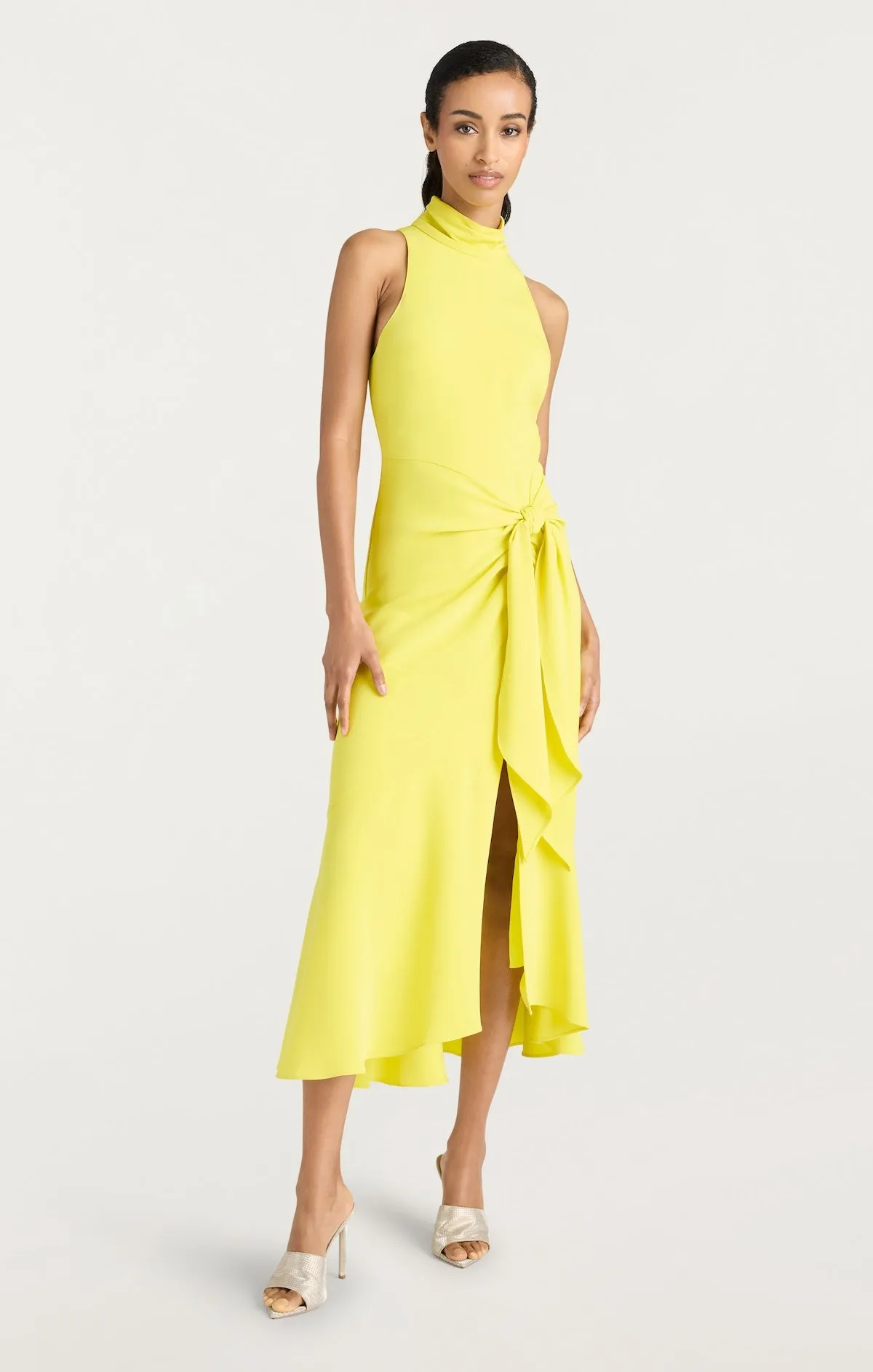 Crepe Rori Dress sold by cinq a sept product image thumbnail 5