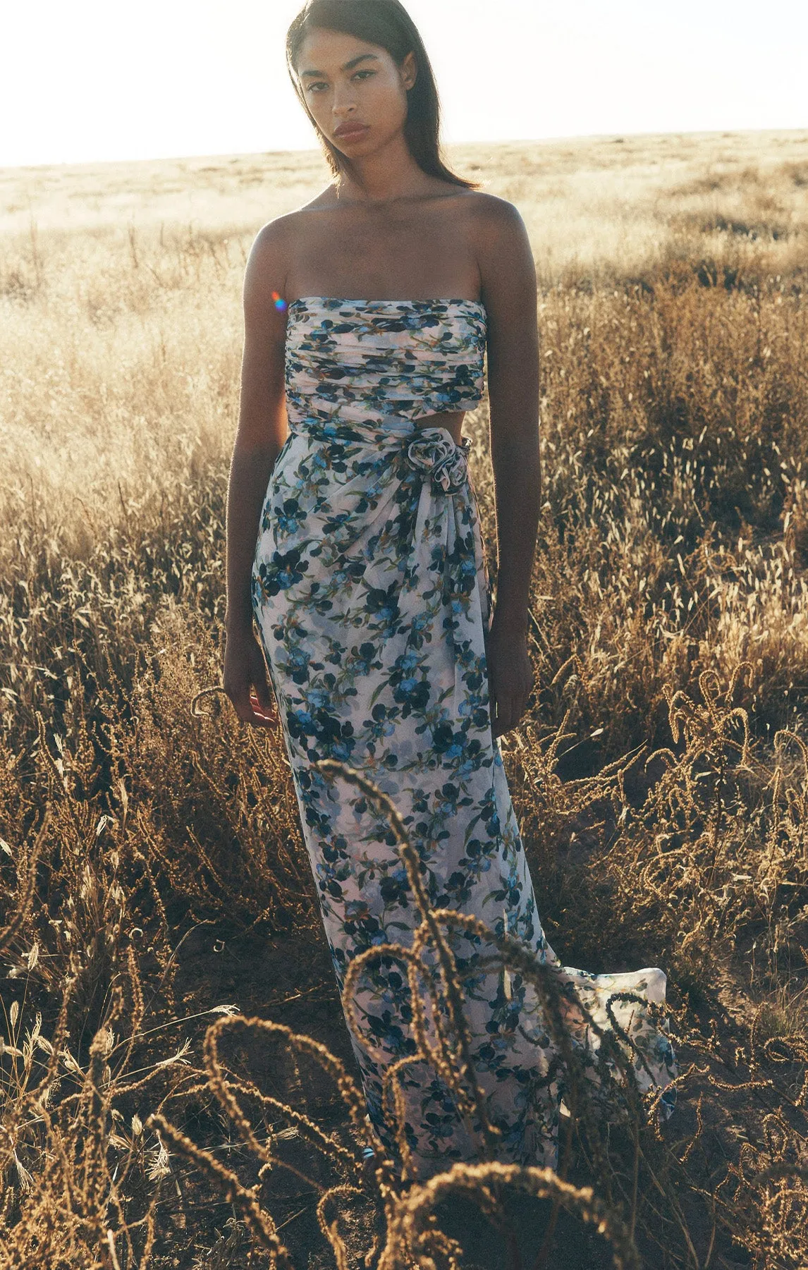 Trailing Iris Magy Gown sold by cinq a sept product image thumbnail 2