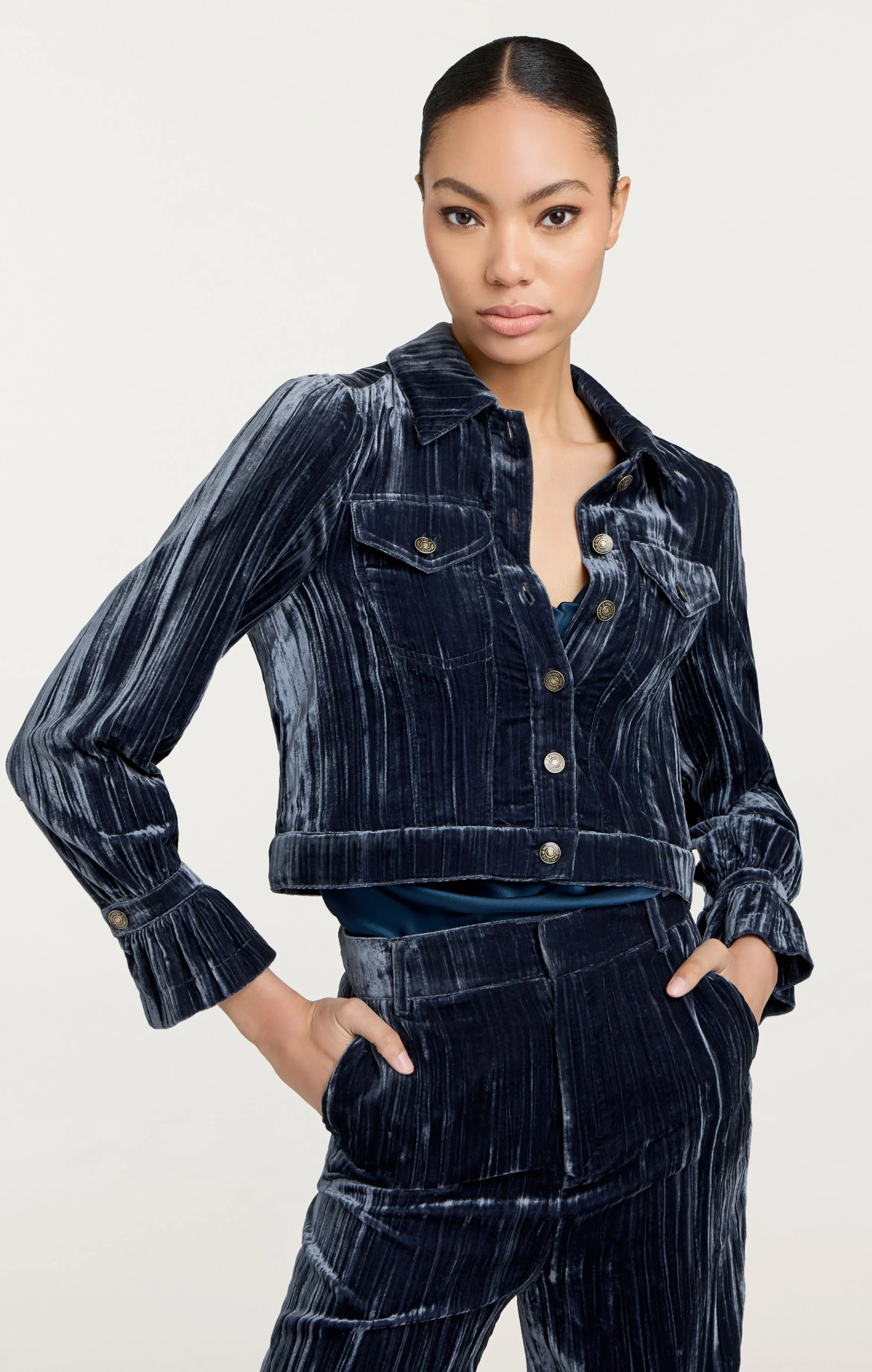 Crushed Velvet Dillon Jacket sold by cinq a sept product image thumbnail 2