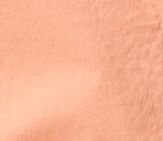 Penny Short Sleeve Blouse in Papaya sold by Citizens Of Humanity product image thumbnail 6