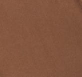 Emi Twist Tank in Malt Ball sold by Citizens Of Humanity product image thumbnail 6