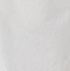 Maritzy Short in Tulip sold by Citizens Of Humanity product image thumbnail 6