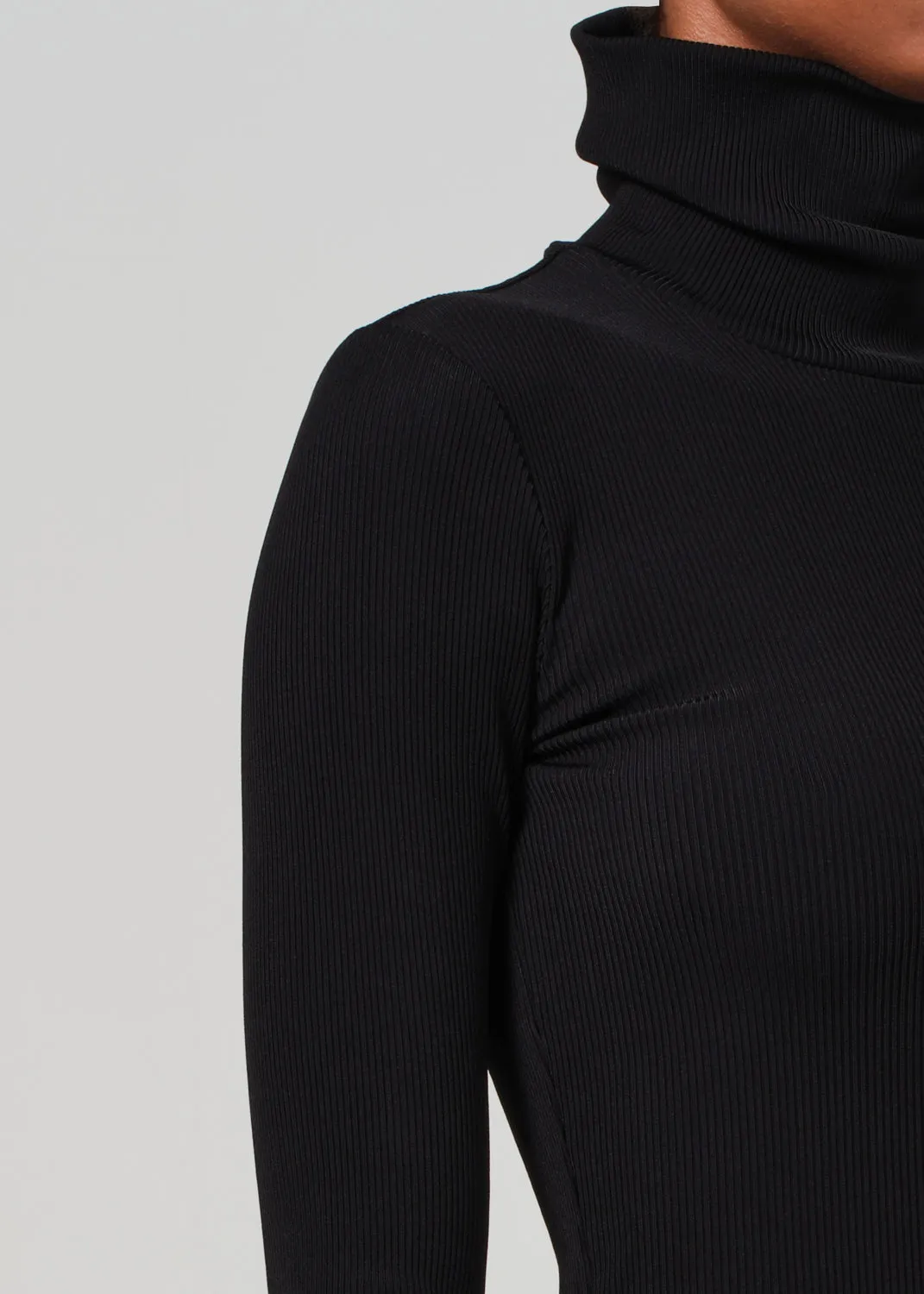 Caradene Turtleneck in Black sold by Citizens Of Humanity product image thumbnail 5