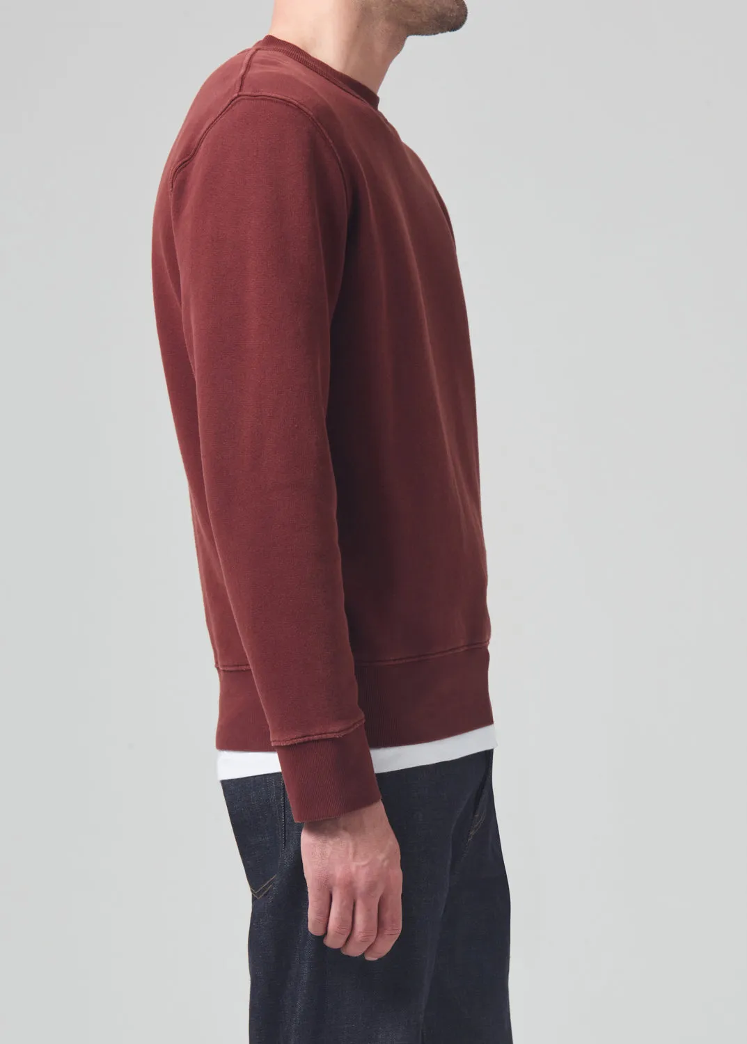 Vintage Crewneck Sweatshirt in Smoked Hazel sold by Citizens Of Humanity product image thumbnail 4