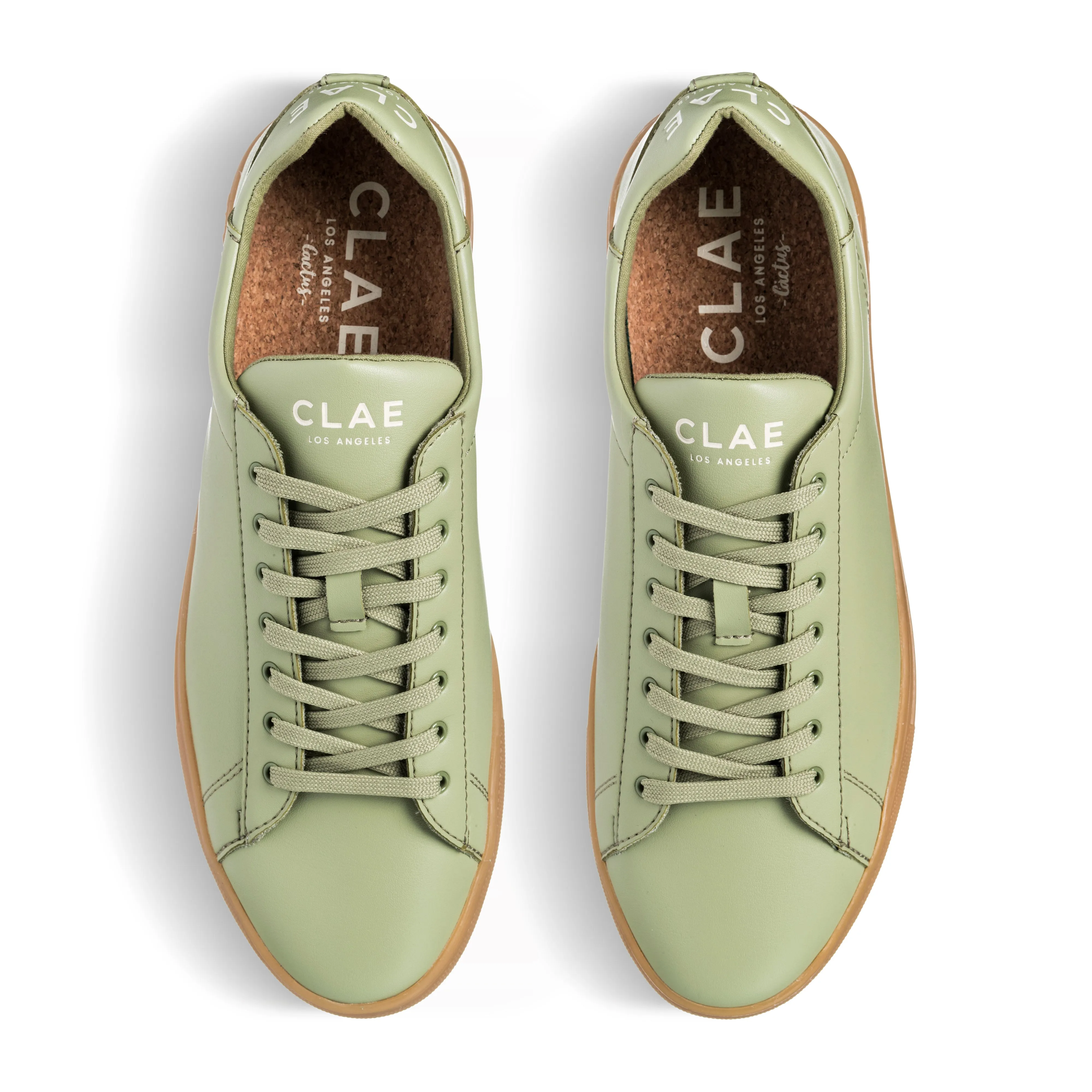 BRADLEY CACTUS sold by Clae product image thumbnail 3