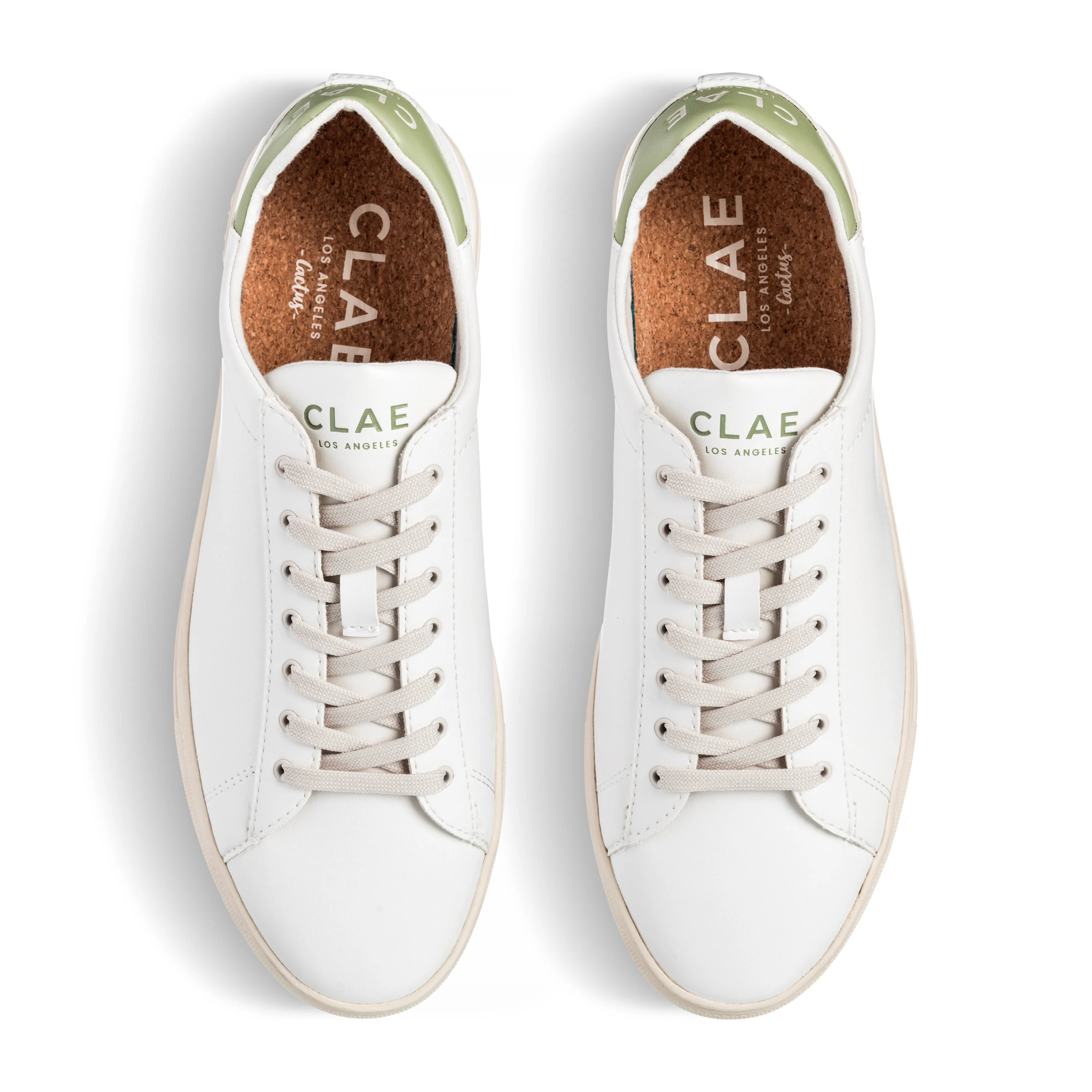 BRADLEY CACTUS sold by Clae product image thumbnail 3