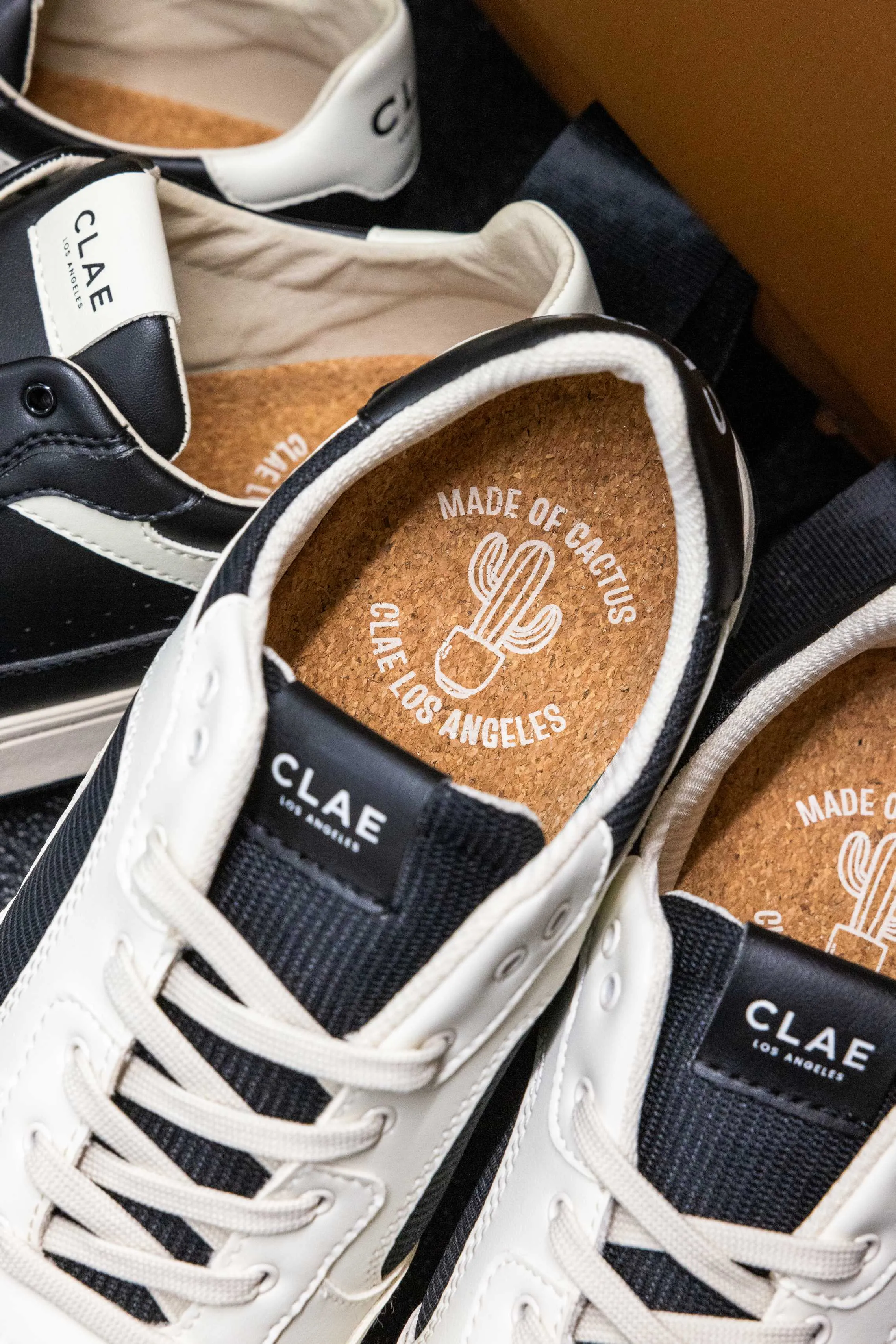 JOSHUA CACTUS sold by Clae product image thumbnail 3