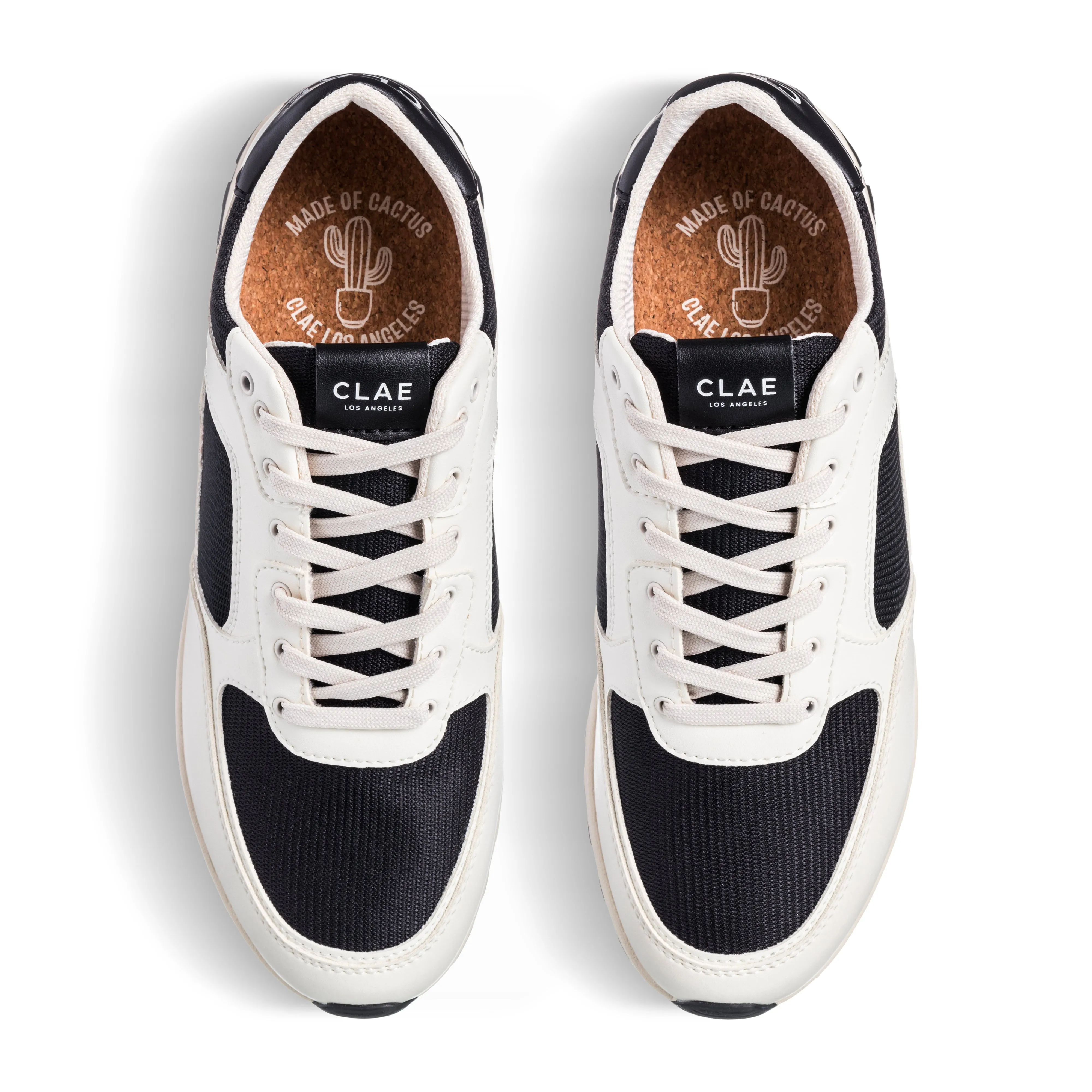 JOSHUA CACTUS sold by Clae product image thumbnail 4