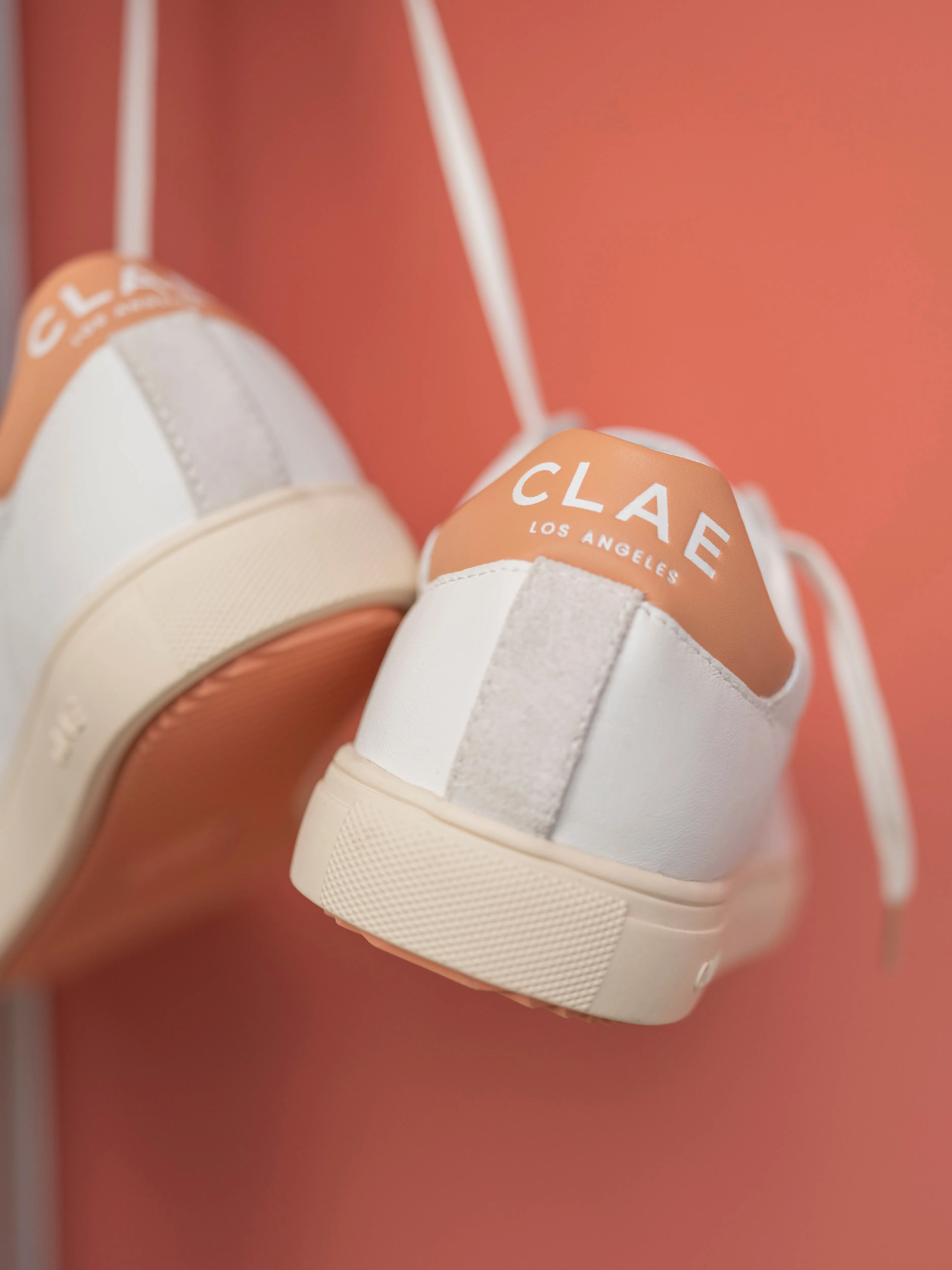 BRADLEY CALIFORNIA sold by Clae product image thumbnail 2
