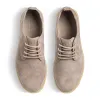 LOGAN sold by Clae