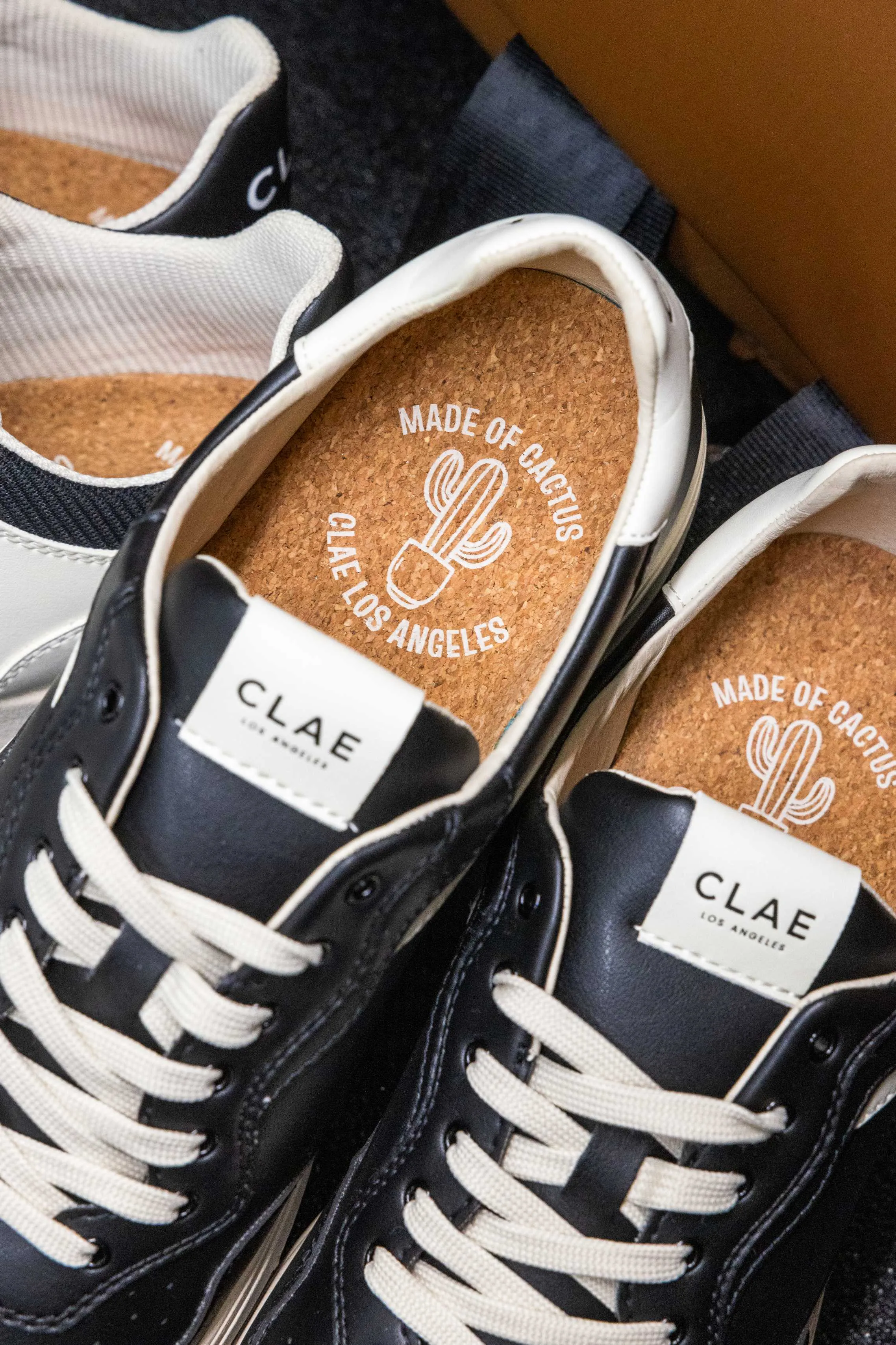 HAYWOOD CACTUS sold by Clae product image thumbnail 3
