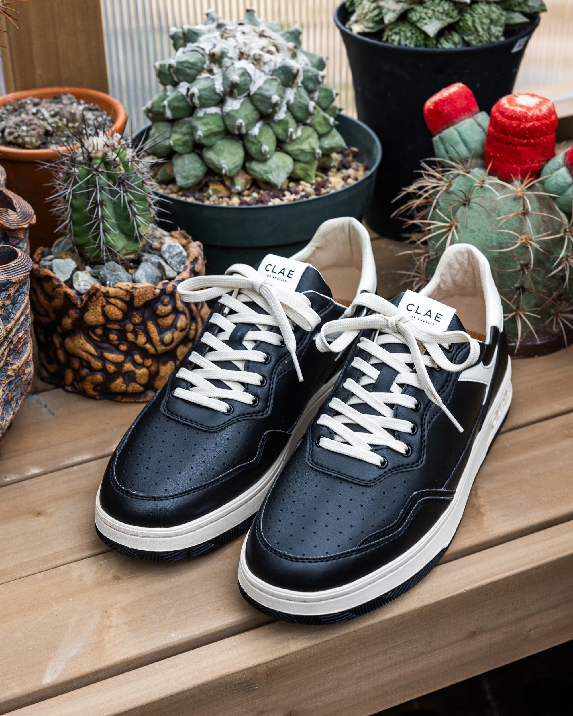 HAYWOOD CACTUS sold by Clae product image thumbnail 2