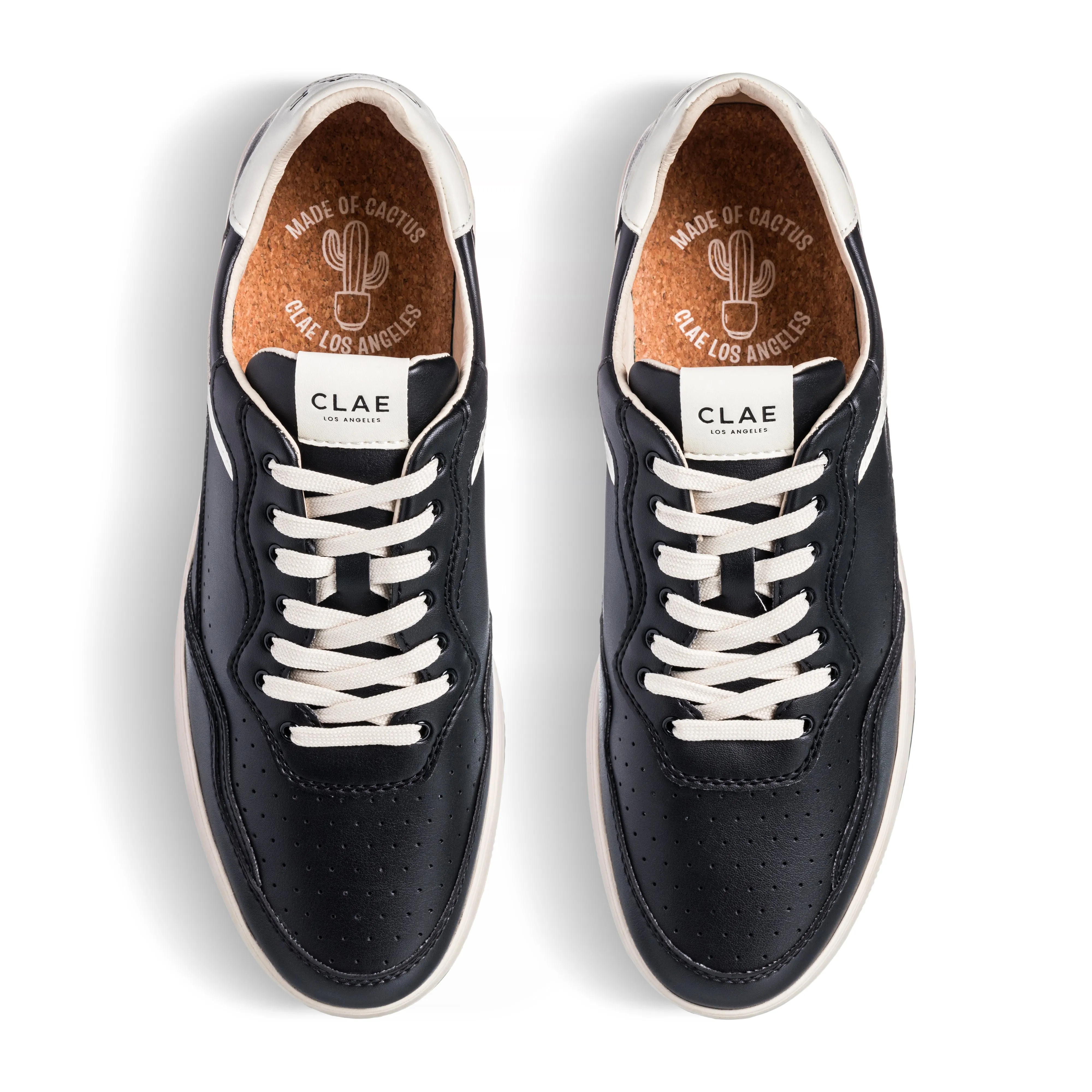 HAYWOOD CACTUS sold by Clae product image thumbnail 5