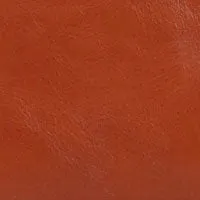 Grande Fanny sold by Clare Vivier product image thumbnail 5