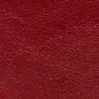 Remi Backpack sold by Clare Vivier product image thumbnail 5