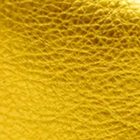 Coin Clutch sold by Clare Vivier product image thumbnail 4