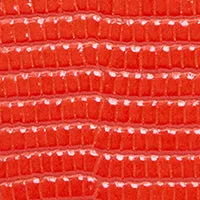 Card Case sold by Clare Vivier product image thumbnail 4