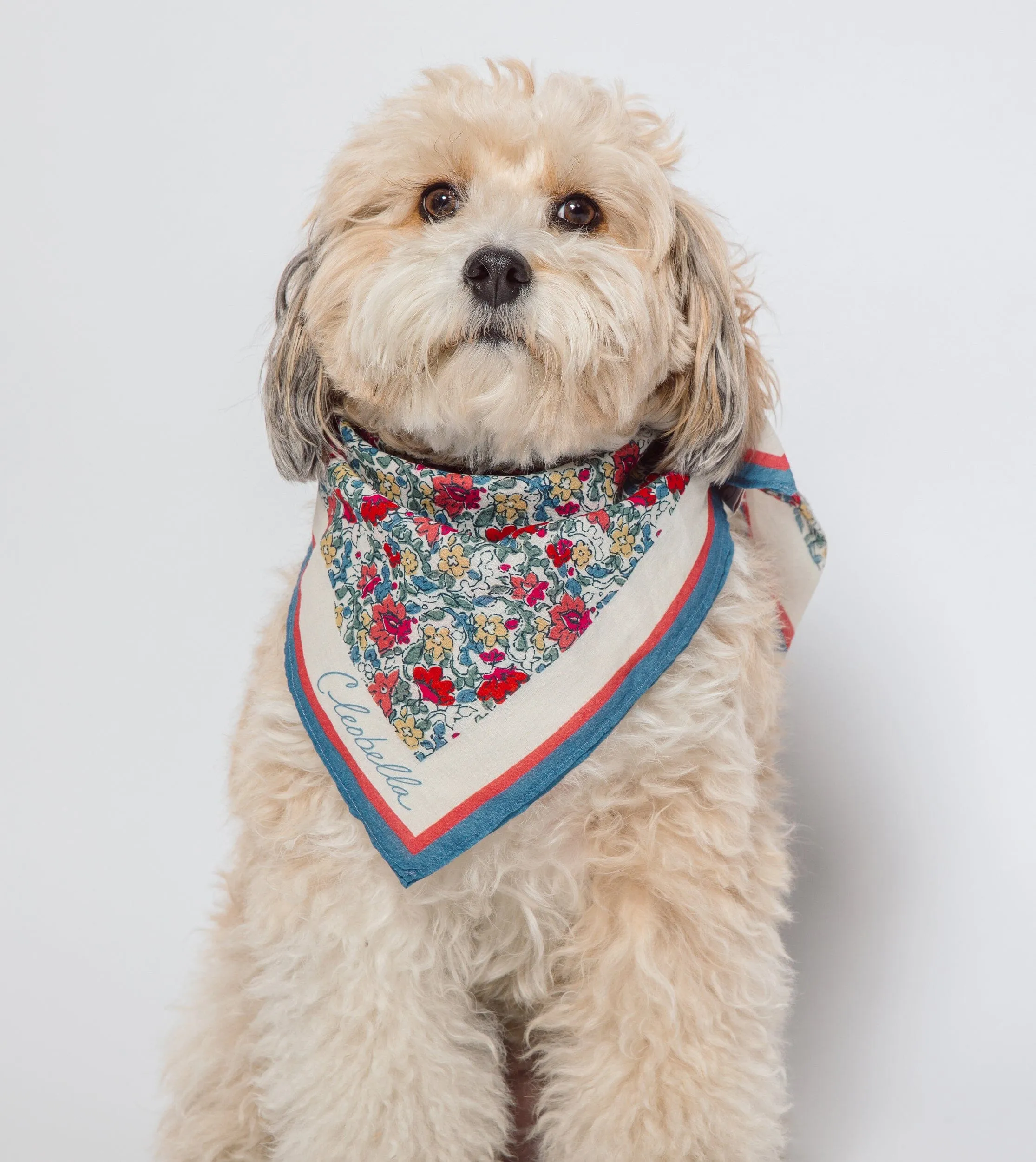 Petrone Print Scarf sold by Cleobella product image thumbnail 3