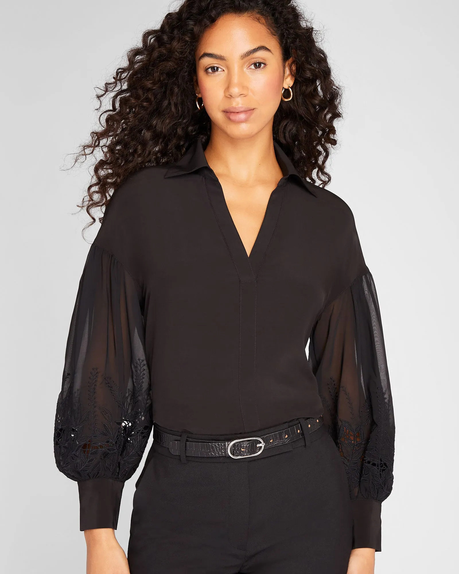 Embroidered Balloon Sleeve Blouse sold by Club Monaco