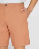 Refined Texture Short sold by Club Monaco