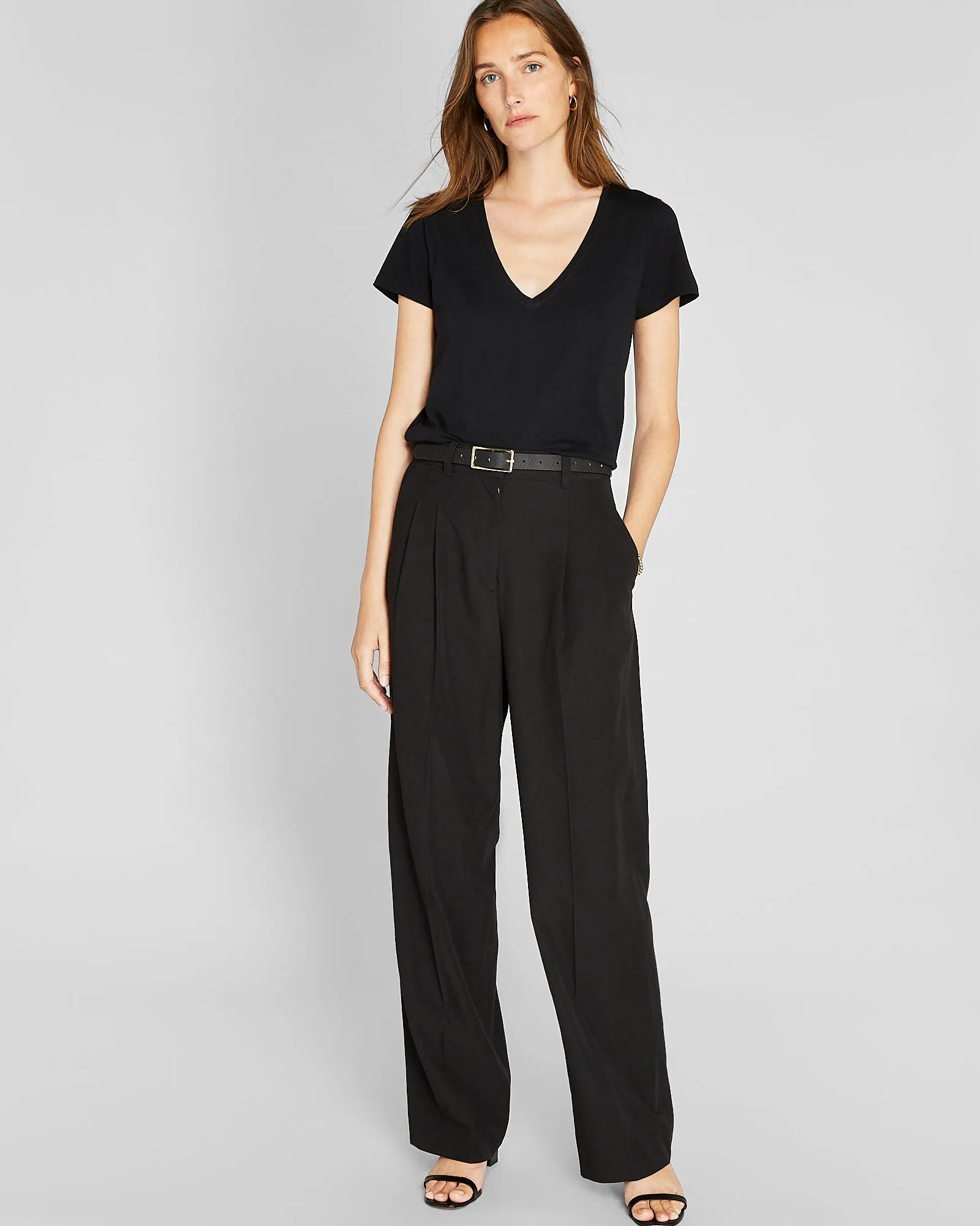 High Rise Pleated Trouser sold by Club Monaco