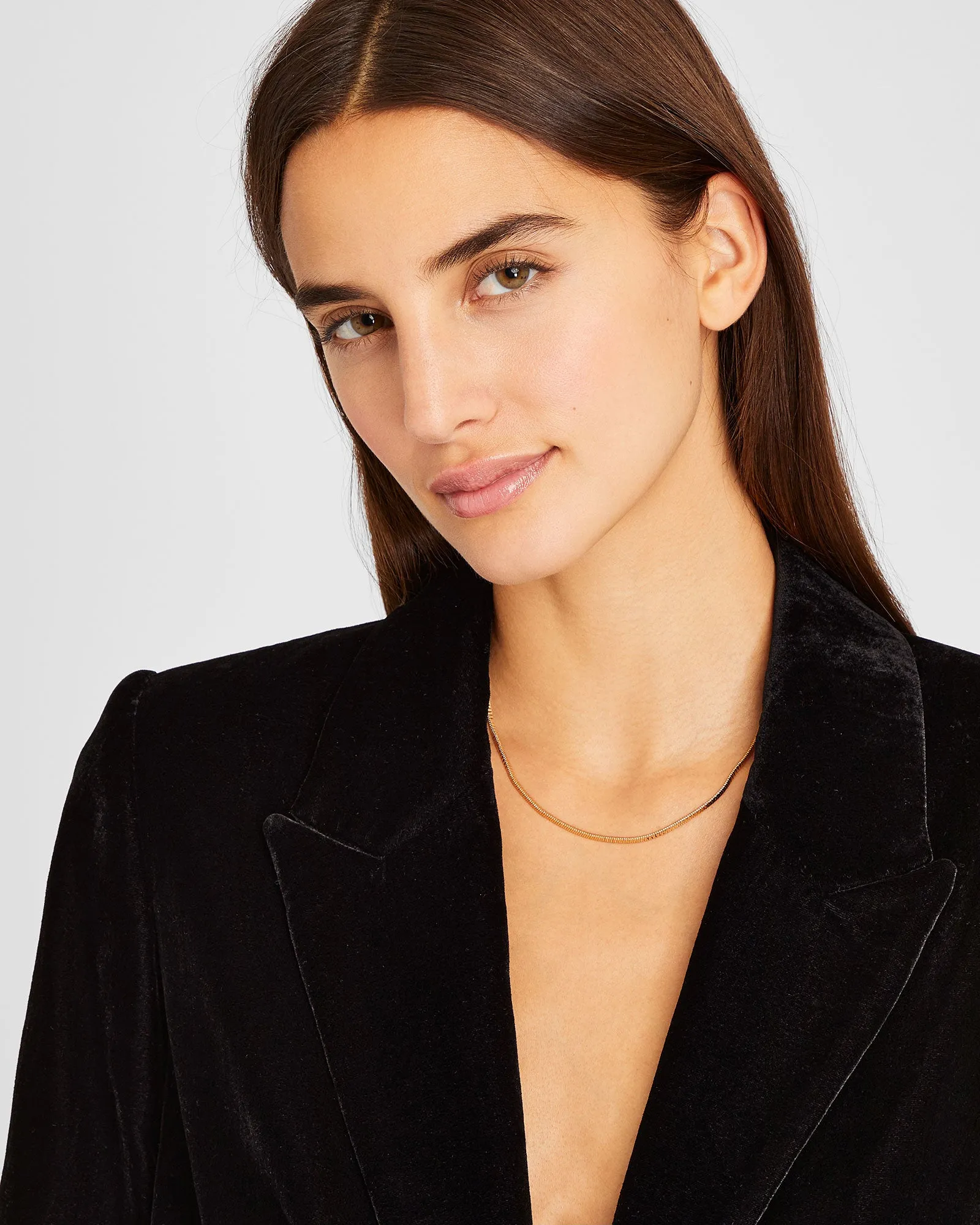 Serefina Slim Snake Chain Necklace sold by Club Monaco product image thumbnail 2