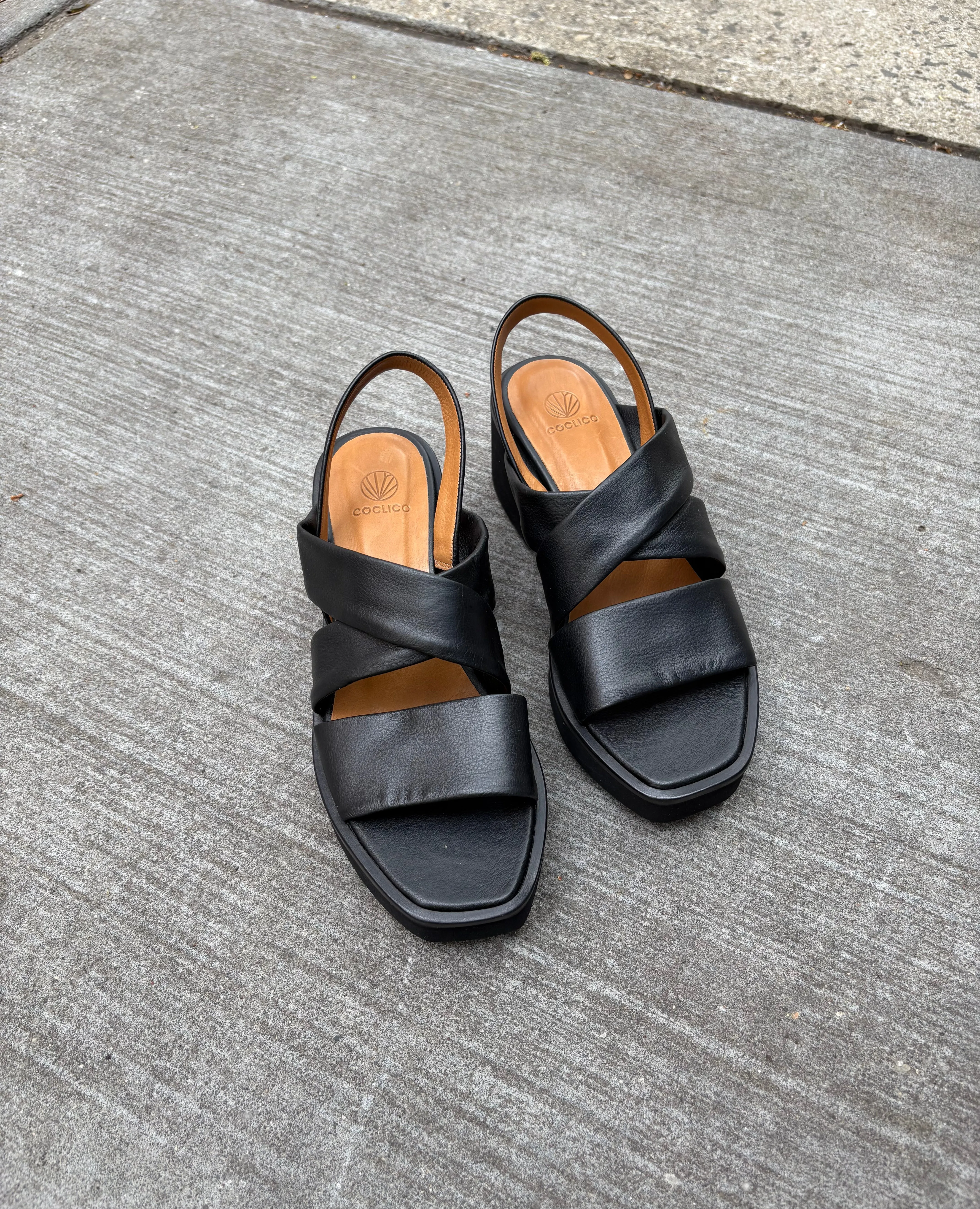 Warehouse Sale - Ereta Wedge Black Leather sold by COCLICO product image thumbnail 2