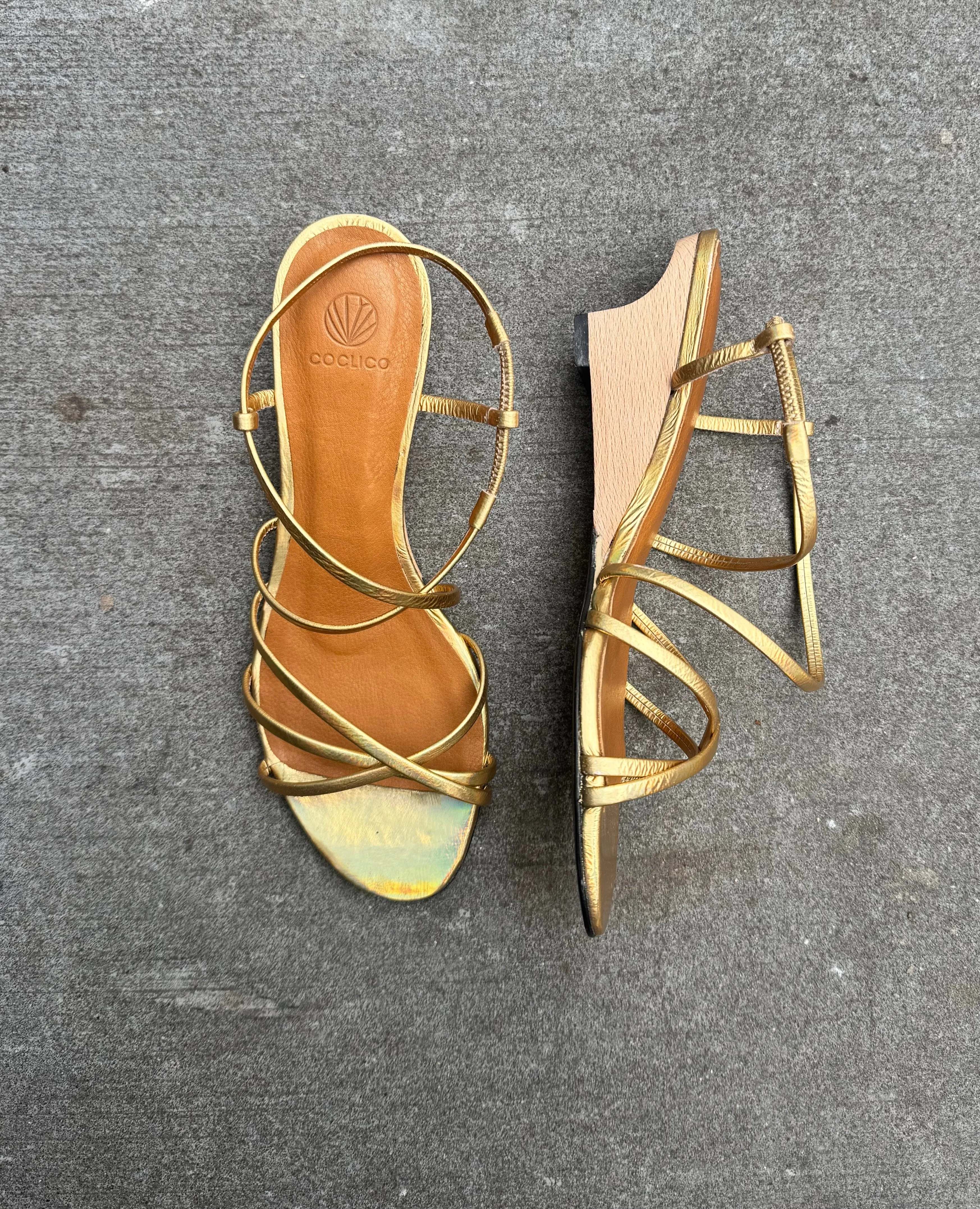 Warehouse Sale - Vain Wedge Iris Iridescent sold by COCLICO